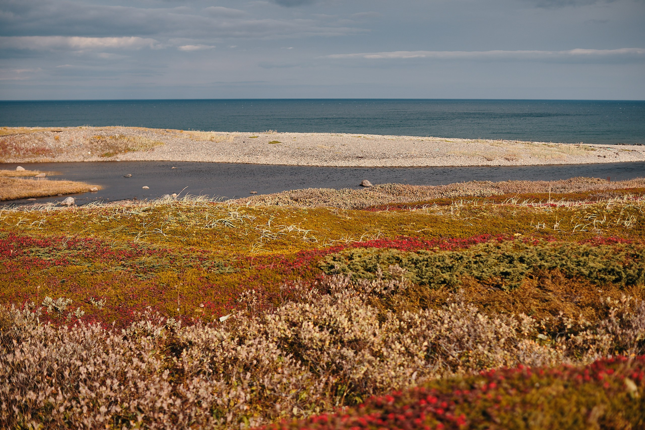 Рыбачий 2023. Место силы. Фотограф Валерий Сабрам
