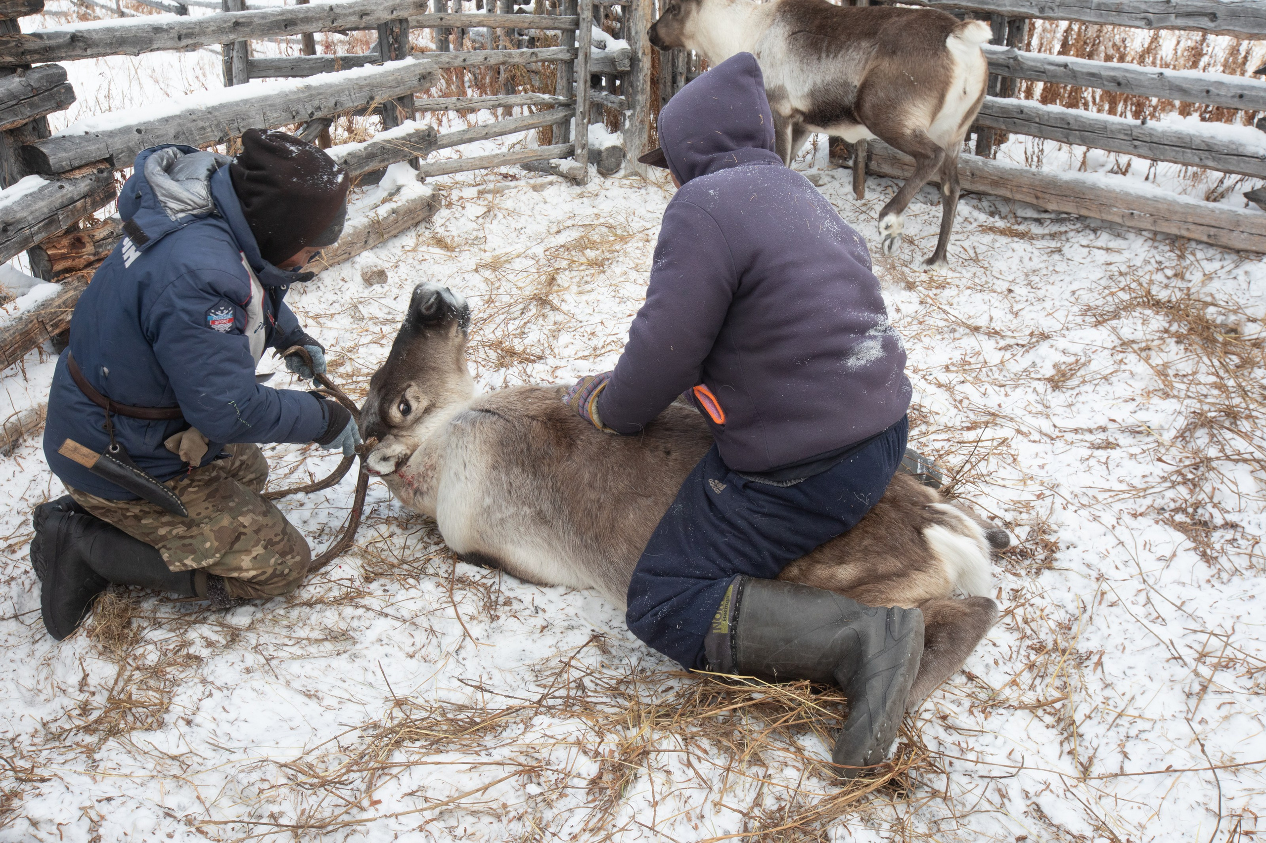 Не забудь накормить озеро. Natalya Madilyan