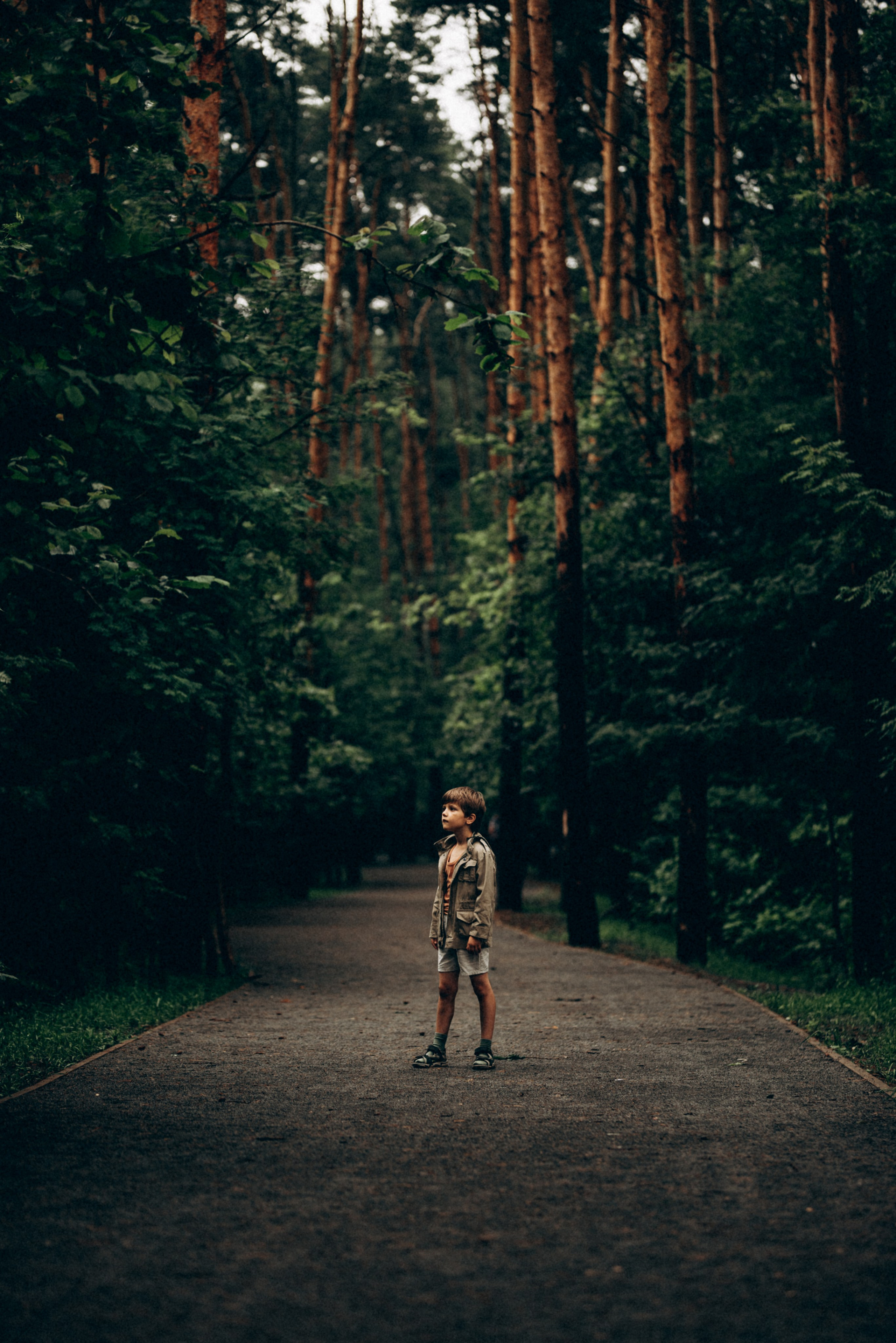 Свадебный и семейный фотограф Москва Видное Домодедово