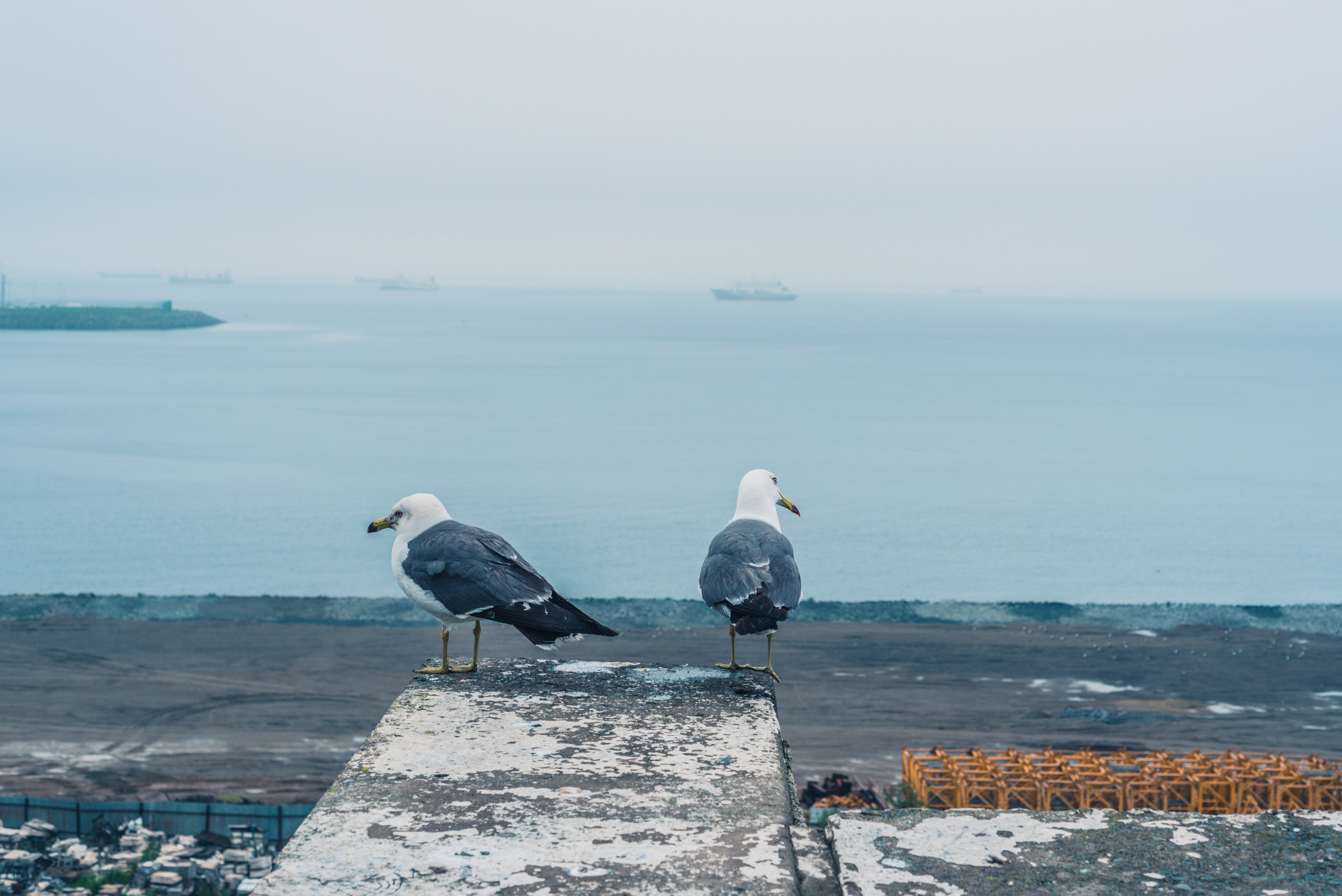 Путешествие рекламного фотографа из Гуанчжоу. Коммерческий и предметный фотограф в Гуанчжоу Коваленко Александр
