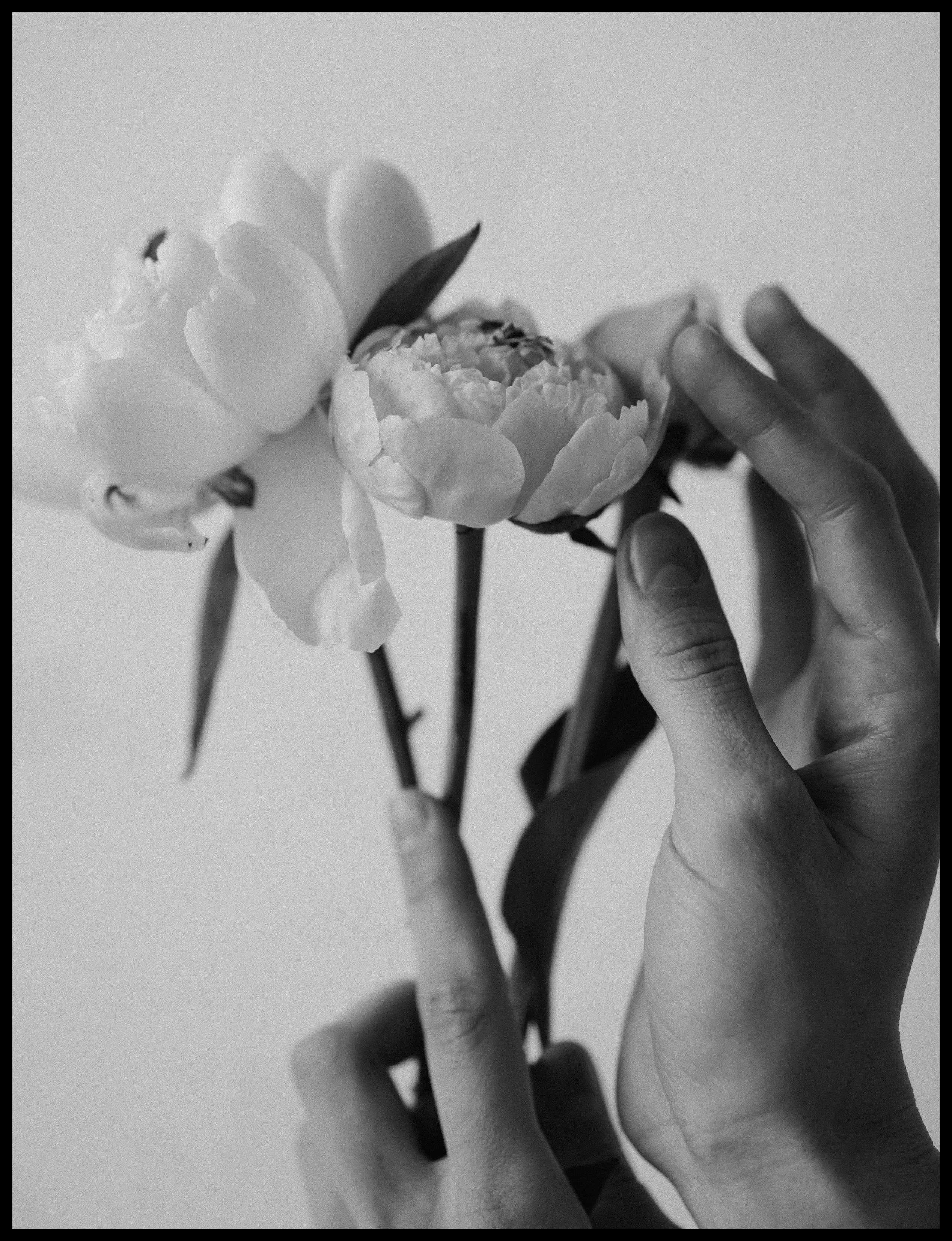 For candles brand SP.CANDLE. Ксения Копна. Фотограф из Санкт-Петербурга