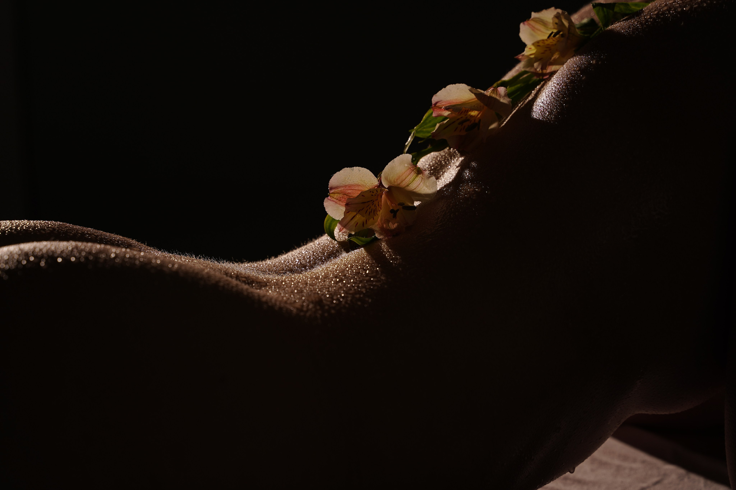 Арт-ню Н.Новгород/Москва