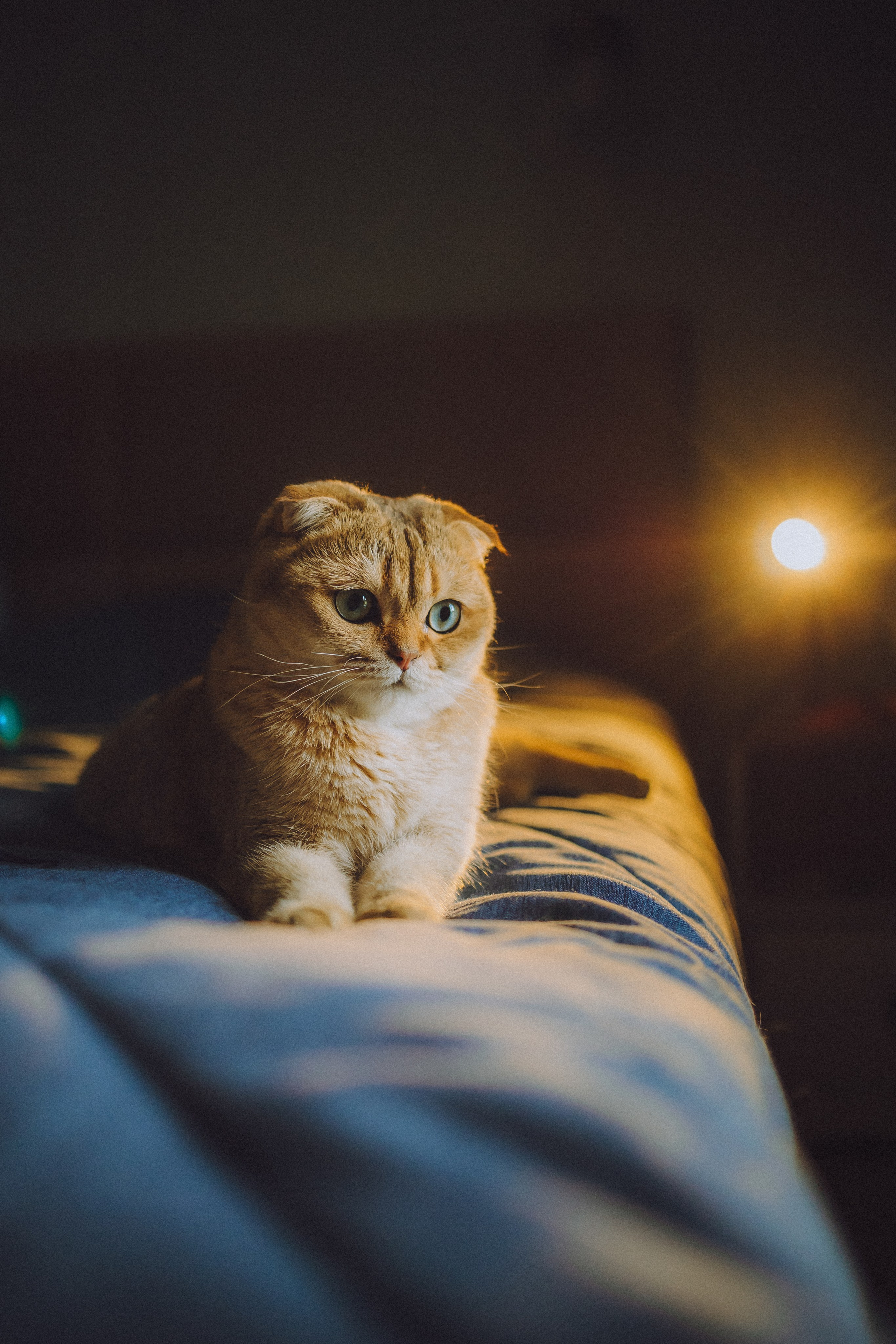 Генри и его семья