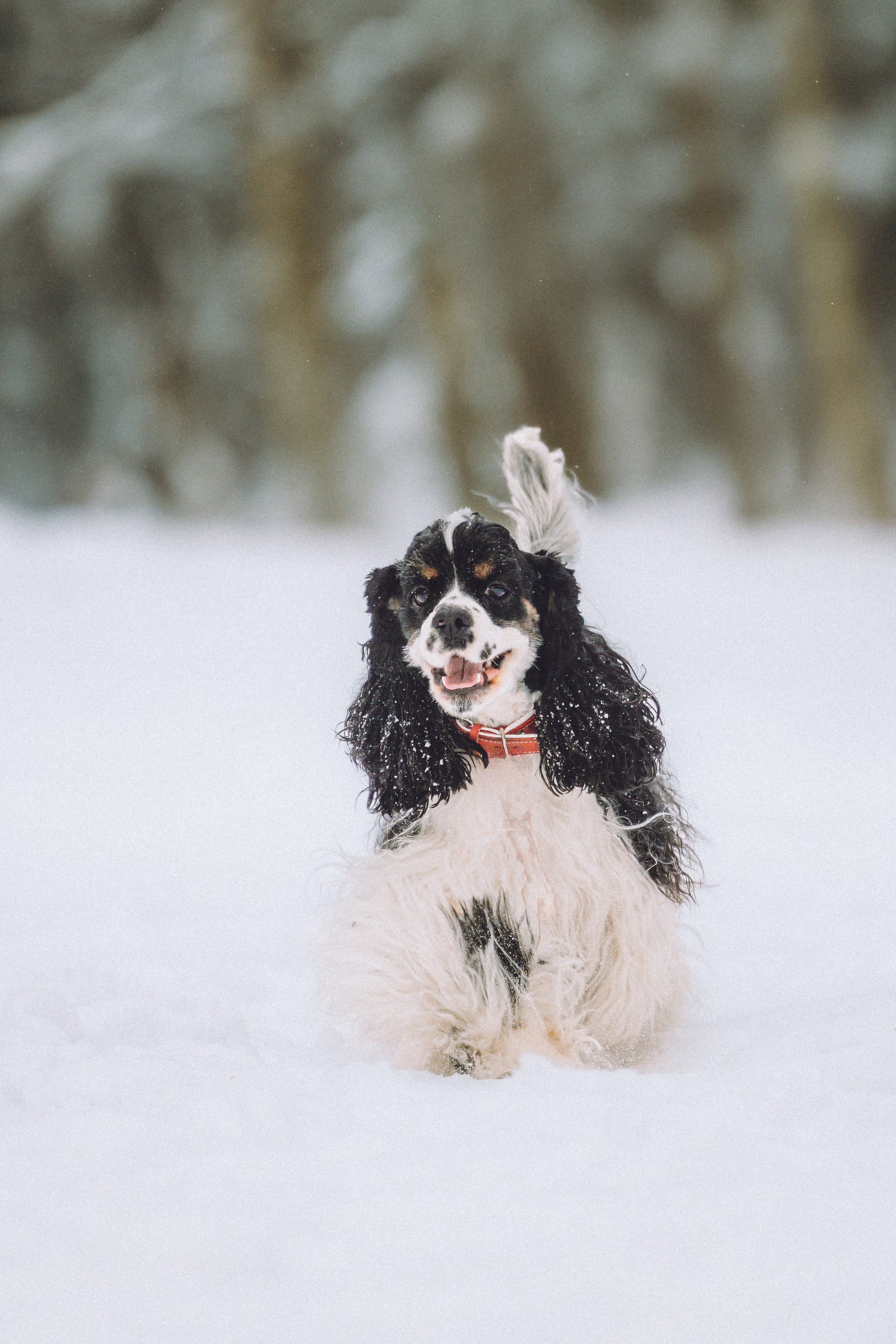Ольга и Патрик