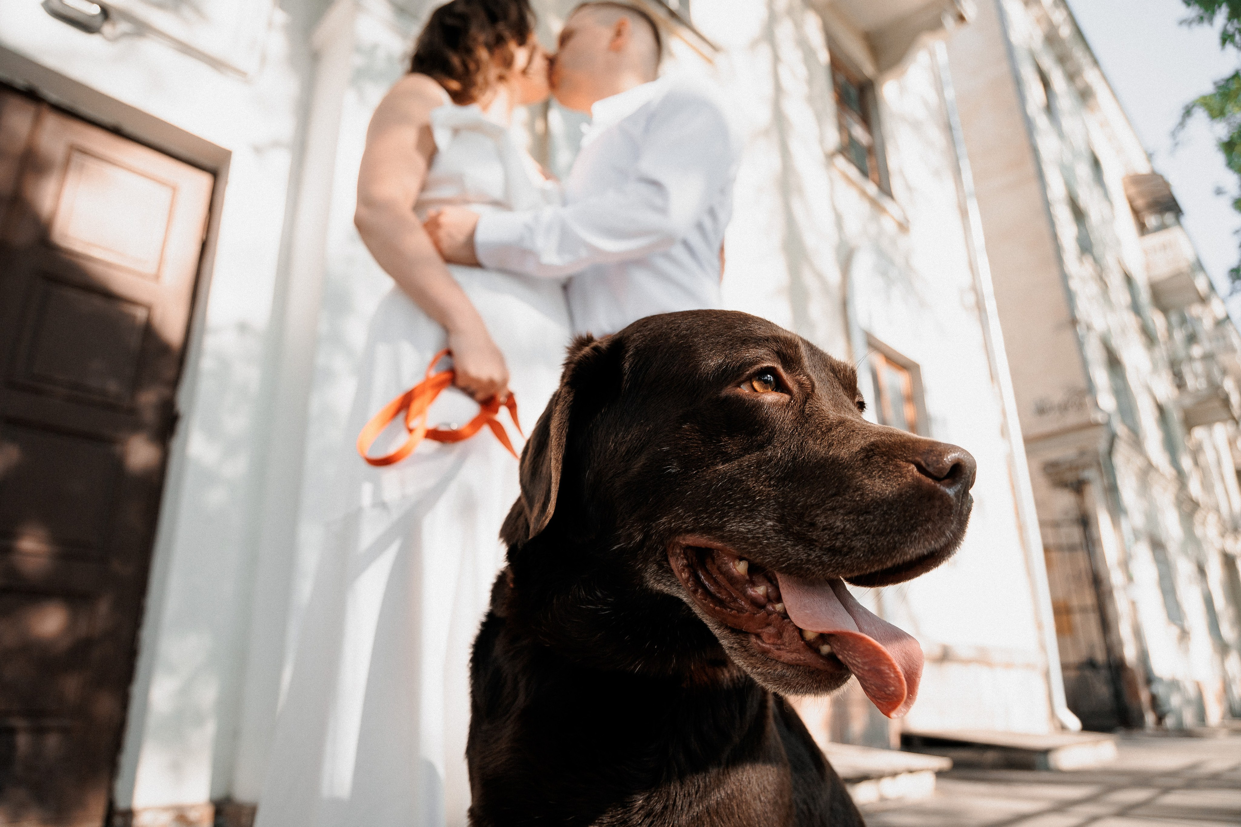 Алёна и Андрей. Свадебный и портретный фотограф в Архангельске Илья Труфанов