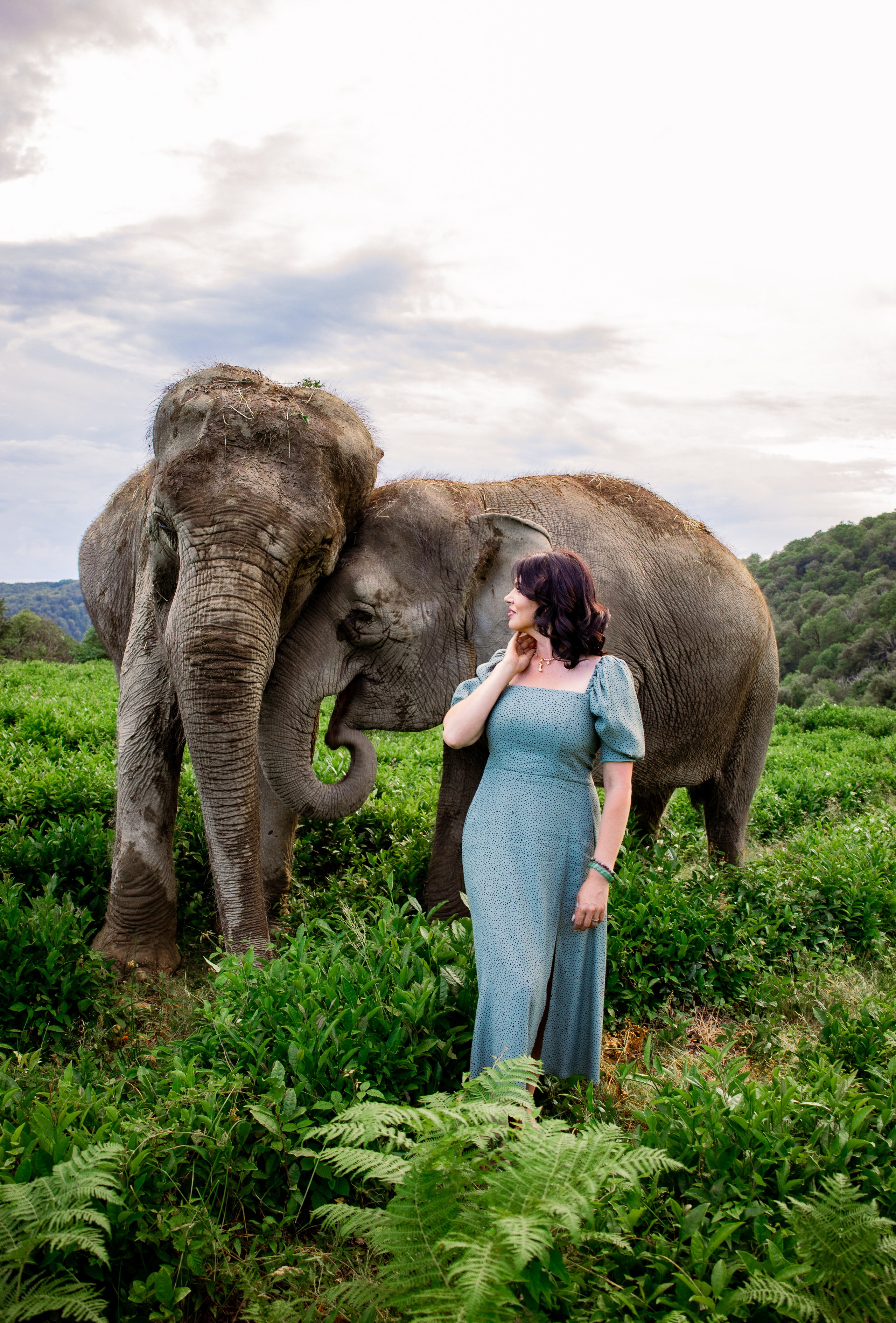 Слоны. Семейный и Свадебный фотограф в Сочи