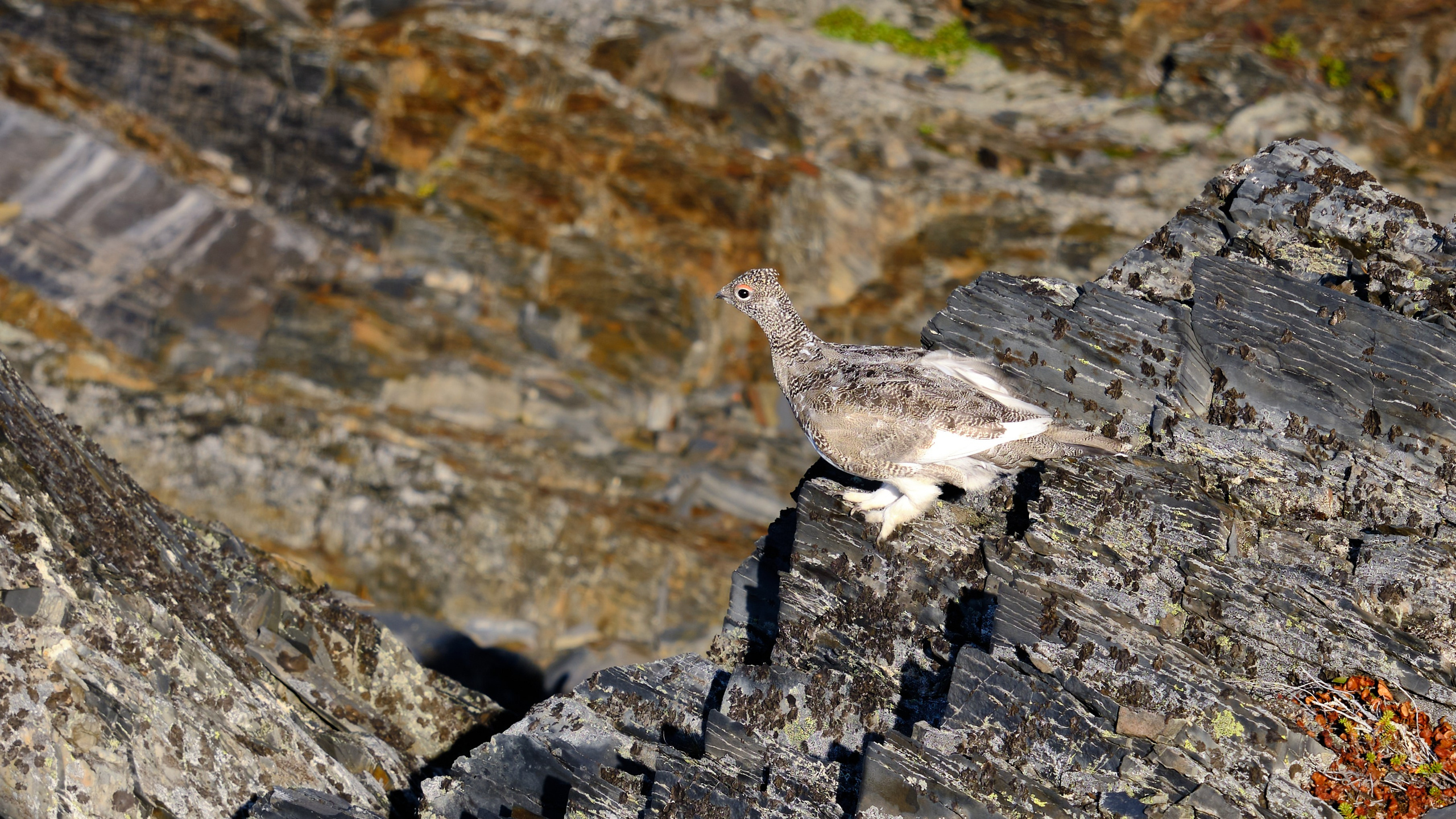 Полуостров Рыбачий. Пейзажи Крайнего Севера. Баренцево море, Рыбачий, Средний, Немецкий