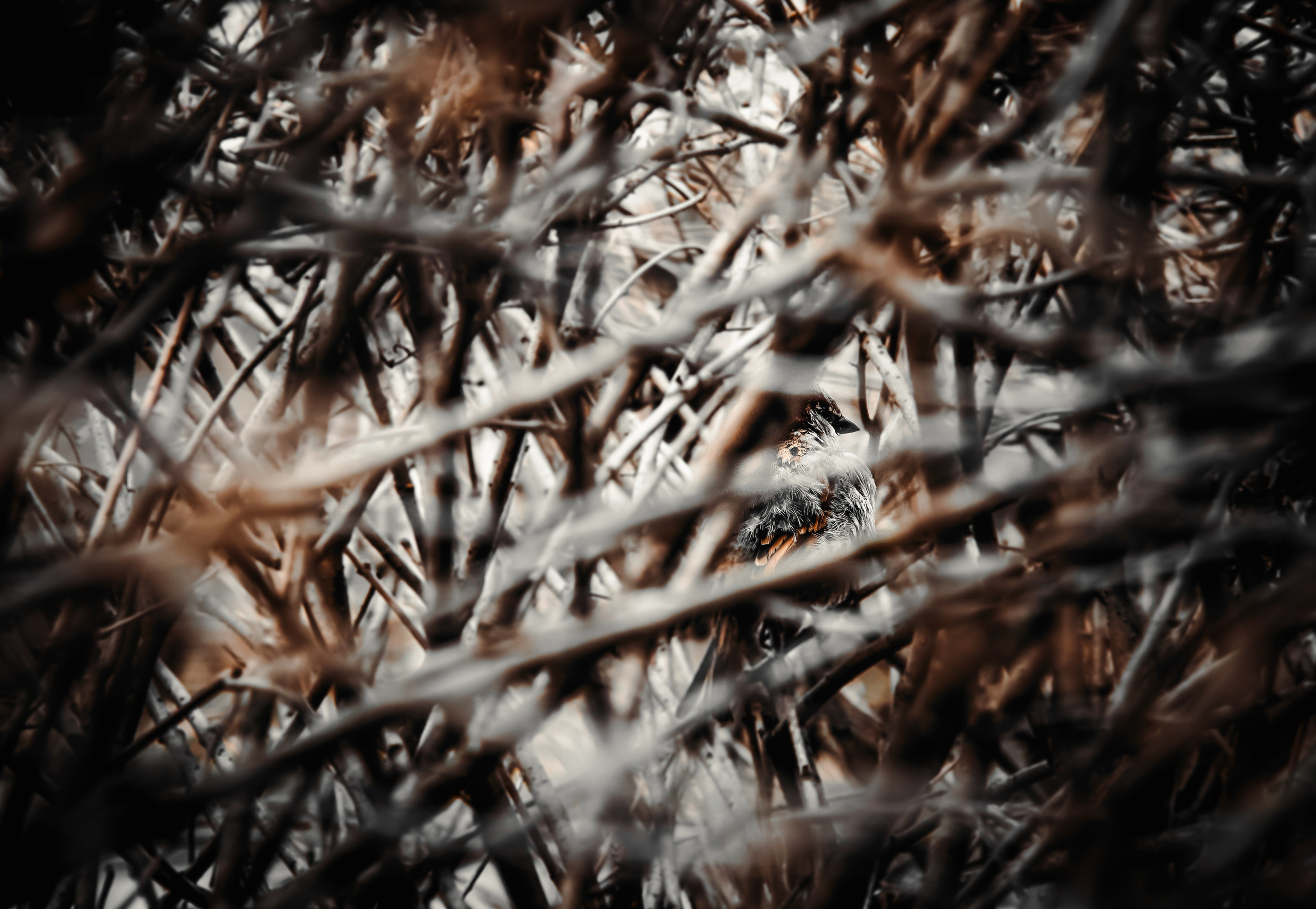 Уличная съемка. Фотограф и оператор Илья Гунбин