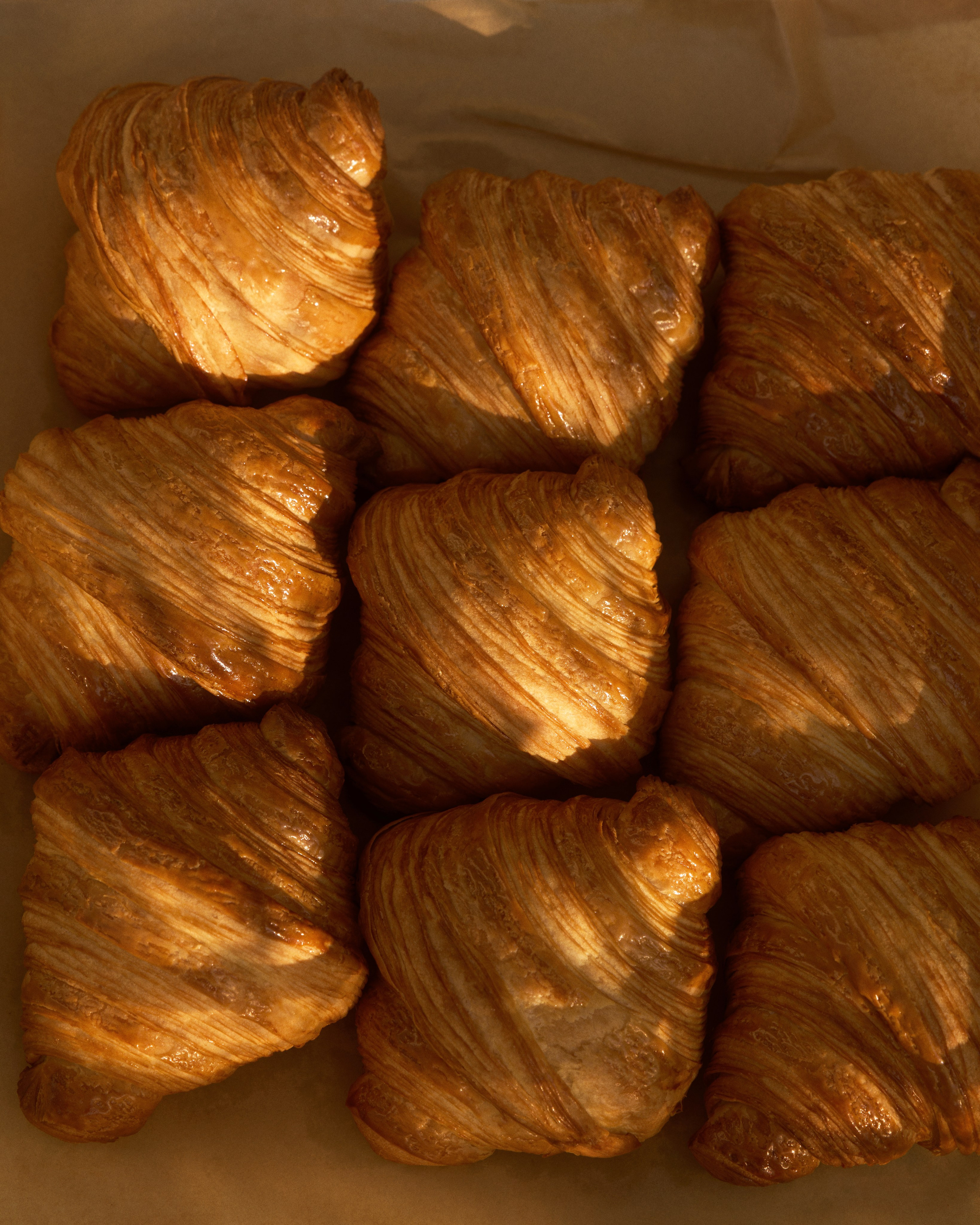 Content for ABC COFFEE ROSTERS. Nadezhda Diskant is a Moscow and Saint Petersburg based photographer