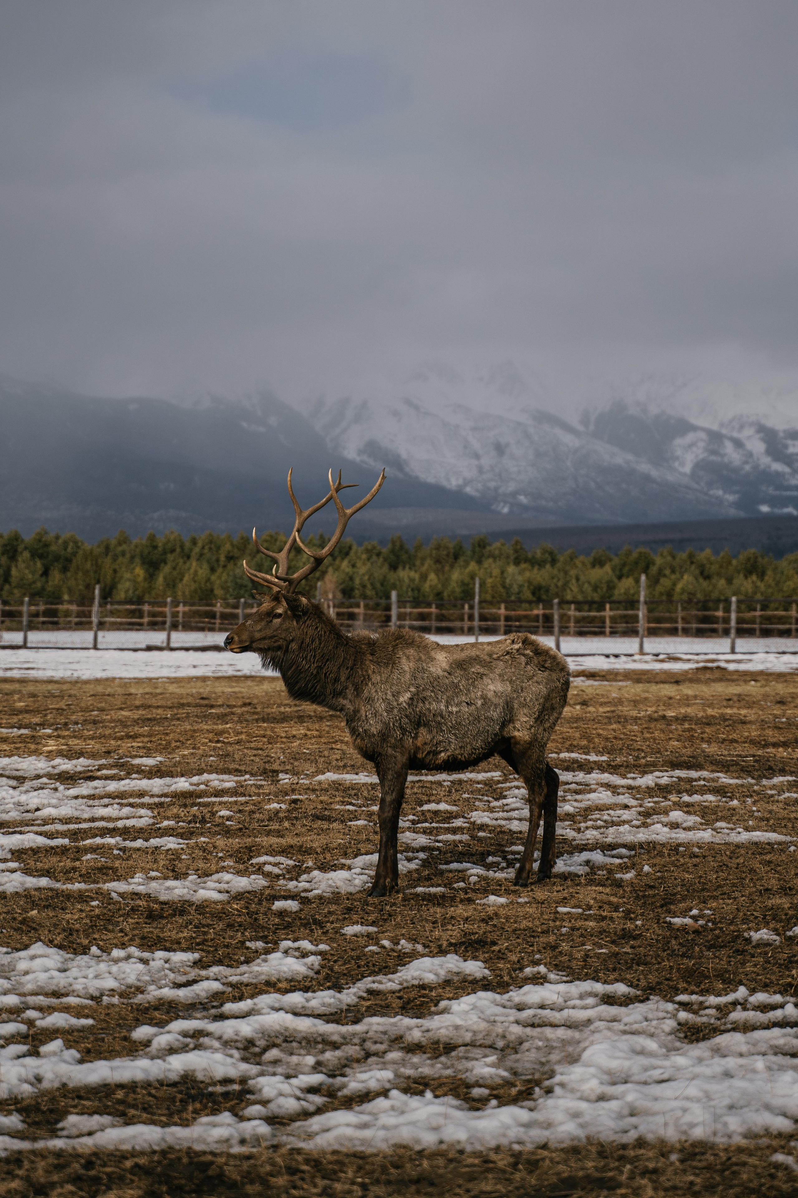 Бурятия, Аршан 2024. Фотограф Ольга Пучкова