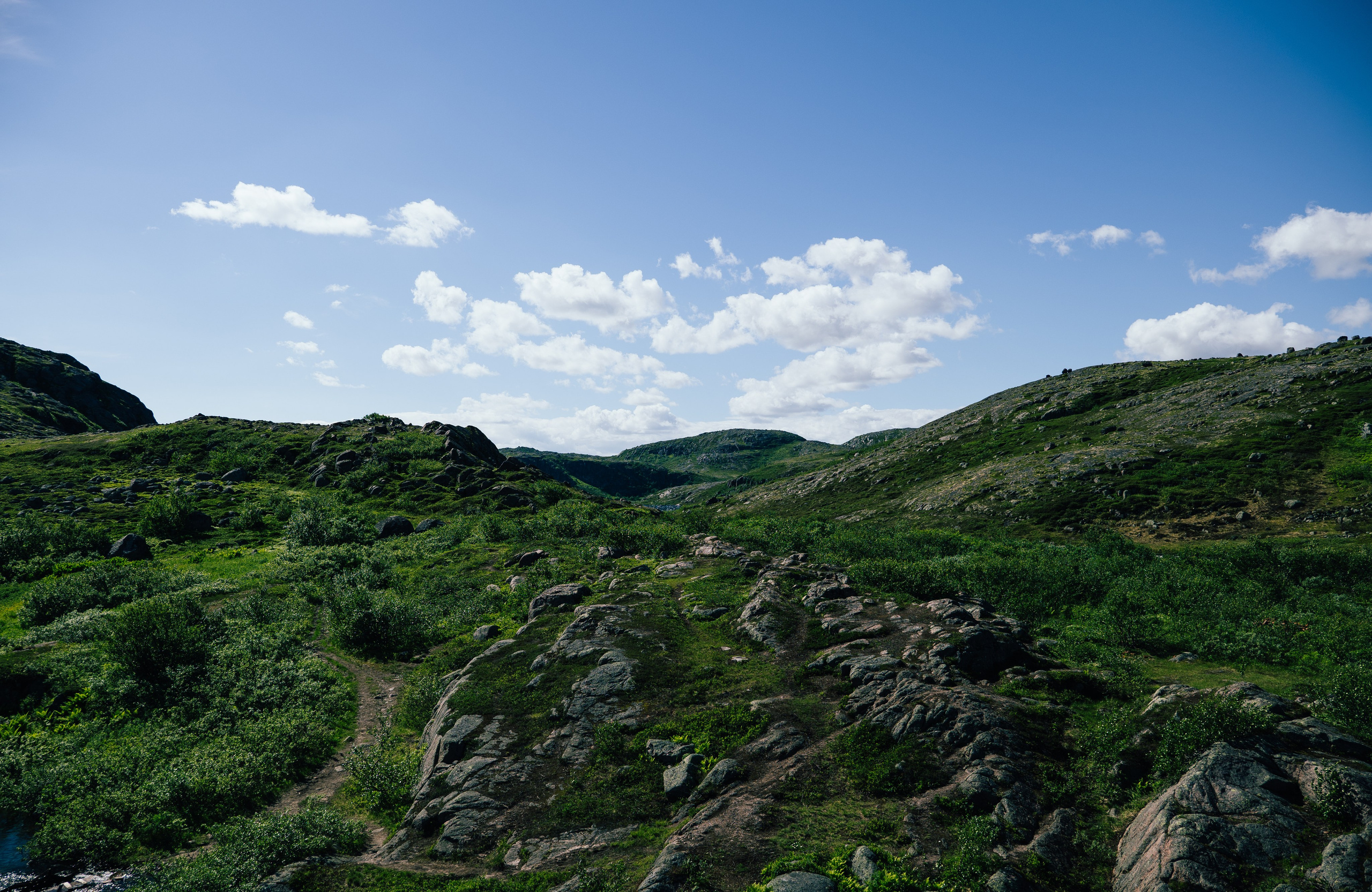 ТЕРИБЕРКА. Создание контента | Фото | Видеосъемка | Александр Ярков