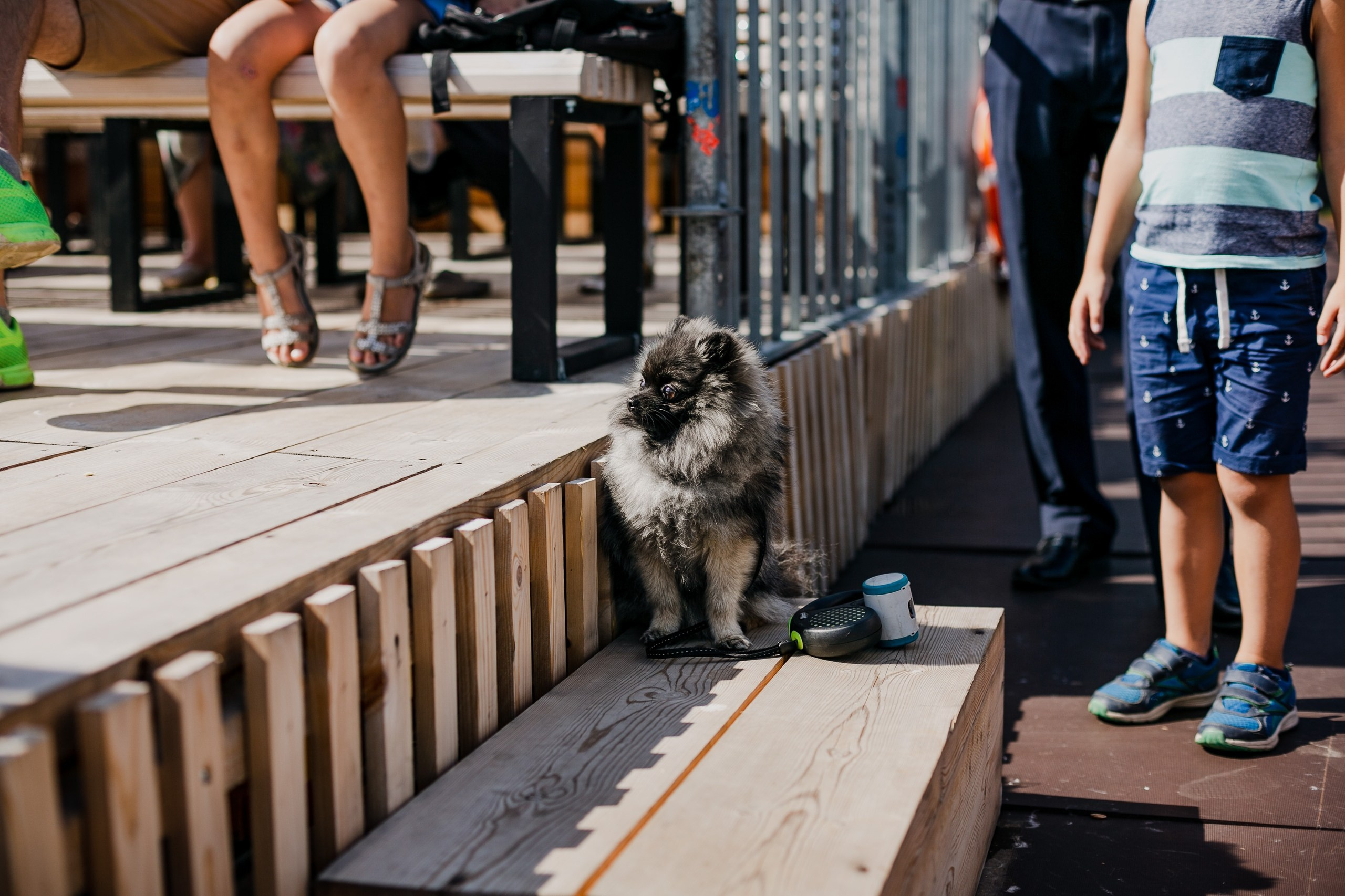 Репортажи. Портретный и fashion фотограф в Москве — Елена Якушина