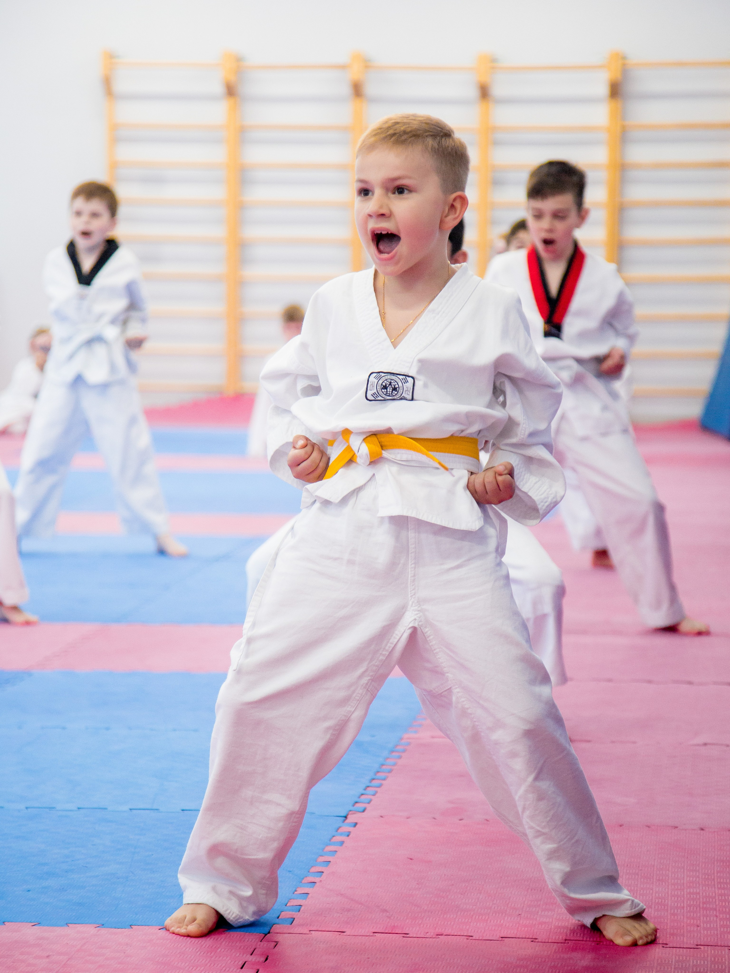 Желтый пояс по тхеквандо. Репортажный фотограф Борис Геер