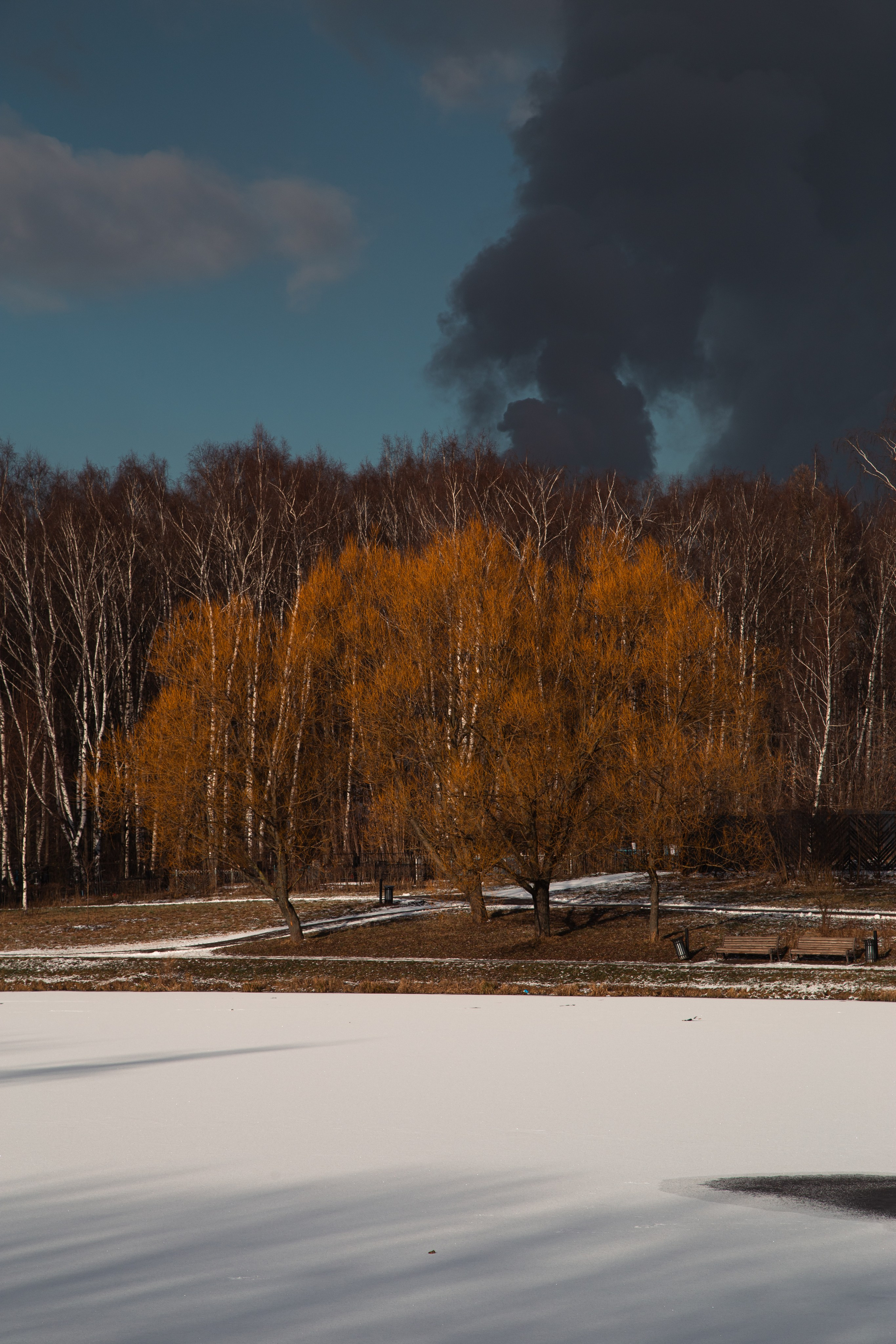 Осенняя зима. Dmitriy [KCCC] is a pretty cool photographer