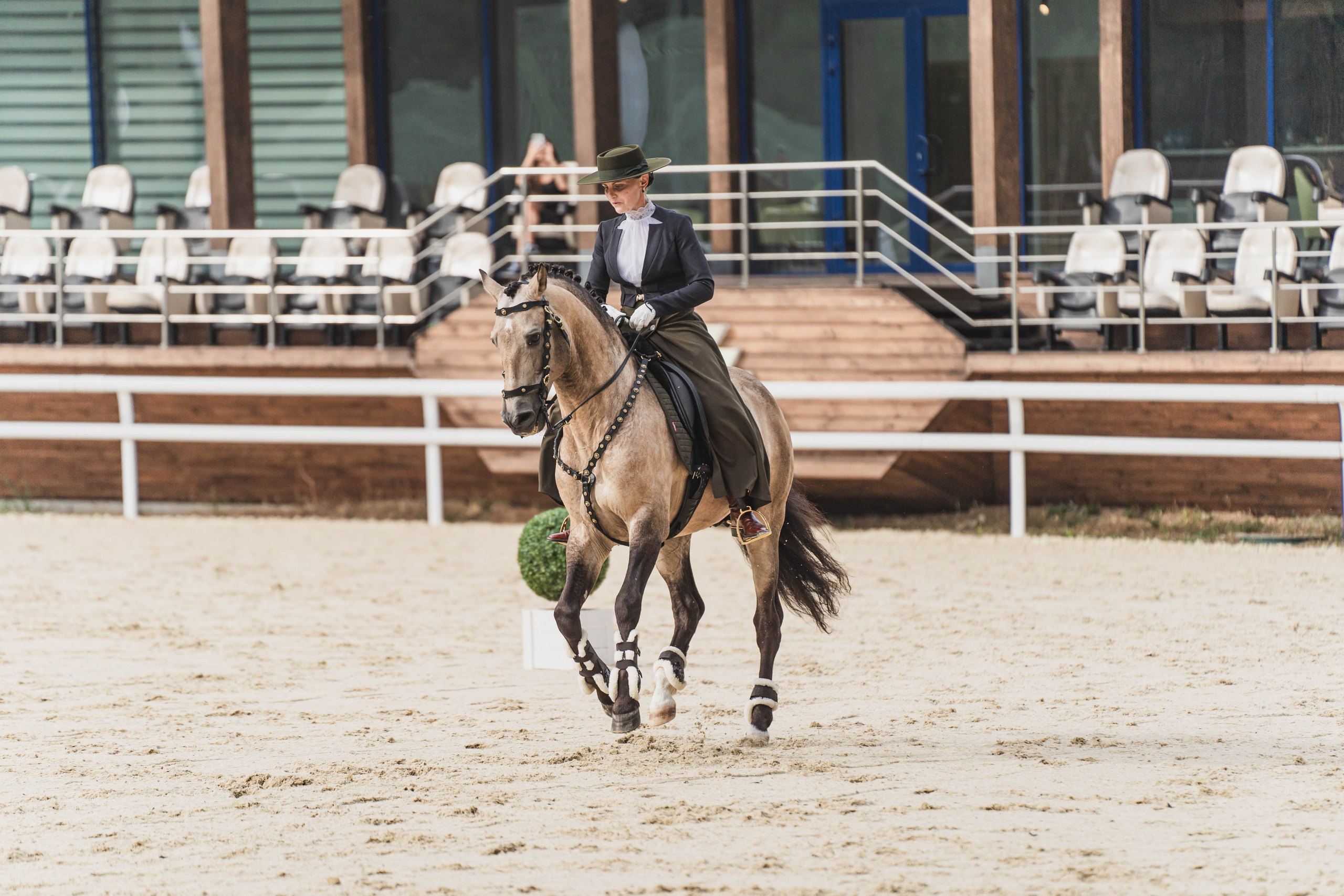 Мастер-класс по рабочей выездке. Фотограф в Москве Ленарская Дарья