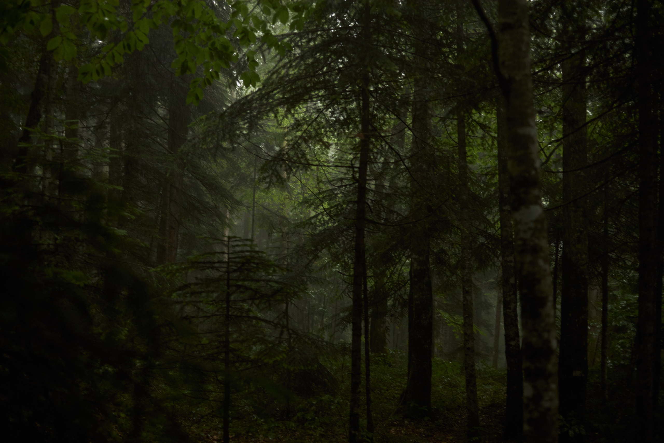 Денис и Наташа