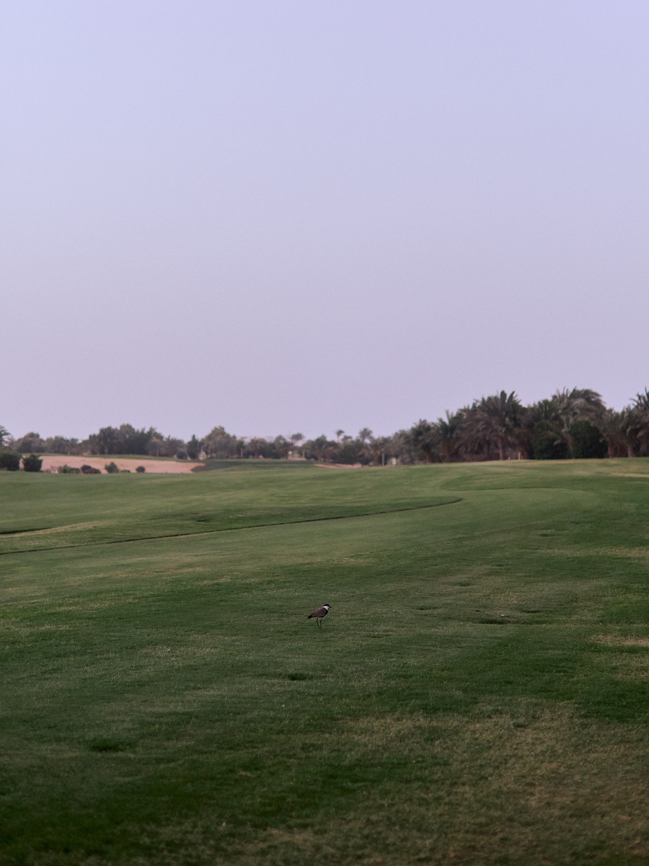 Другое 2. Jorgis Talè — photographer, kind person, teacher of arts and other mag