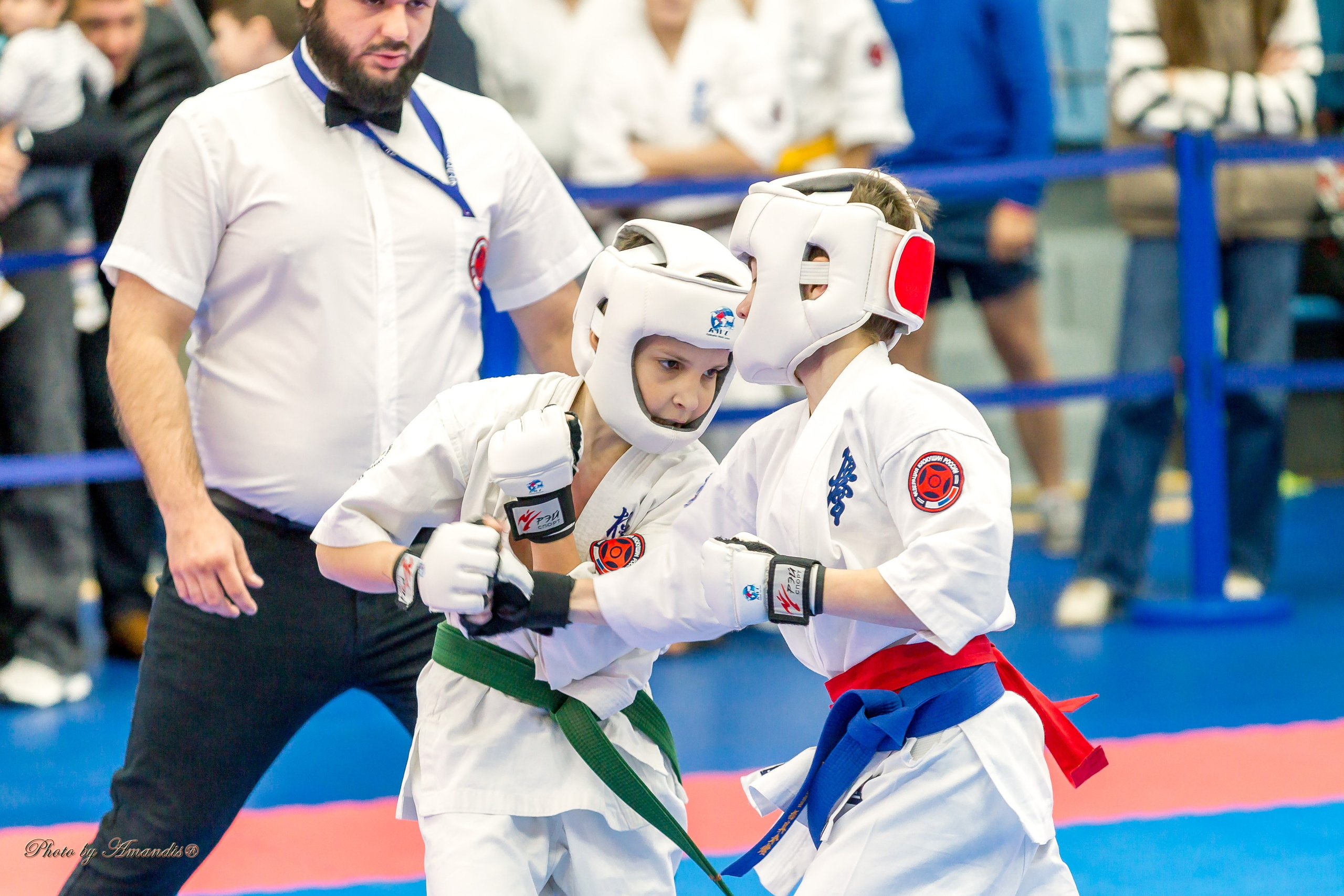 Чемпионат по Киокушинкай Центрального Федерального округа. Репортажная съемка в Москве и области. Анималистика