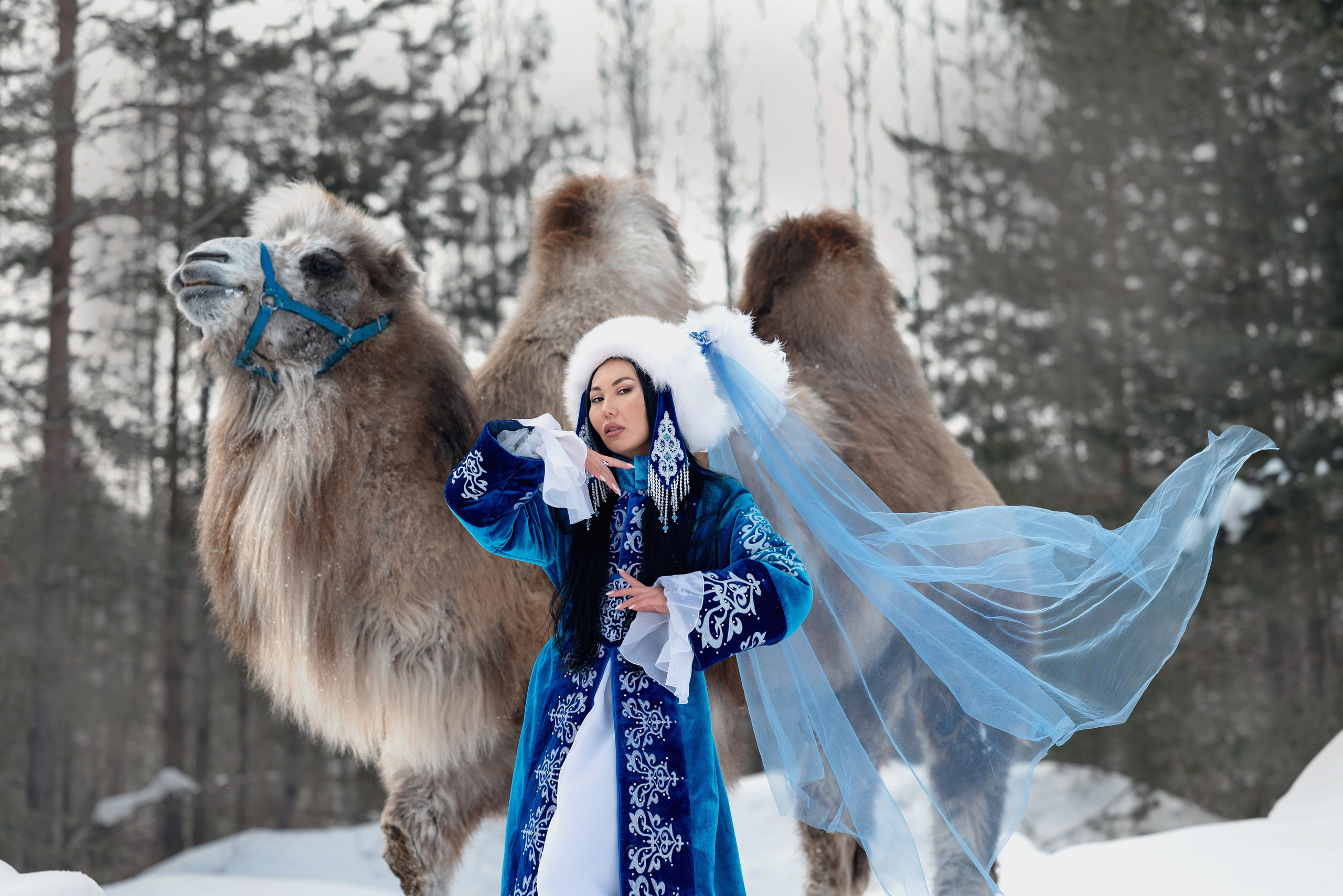 Казахская красавица и верблюд. Фотограф в Тюмени Голышева Елена