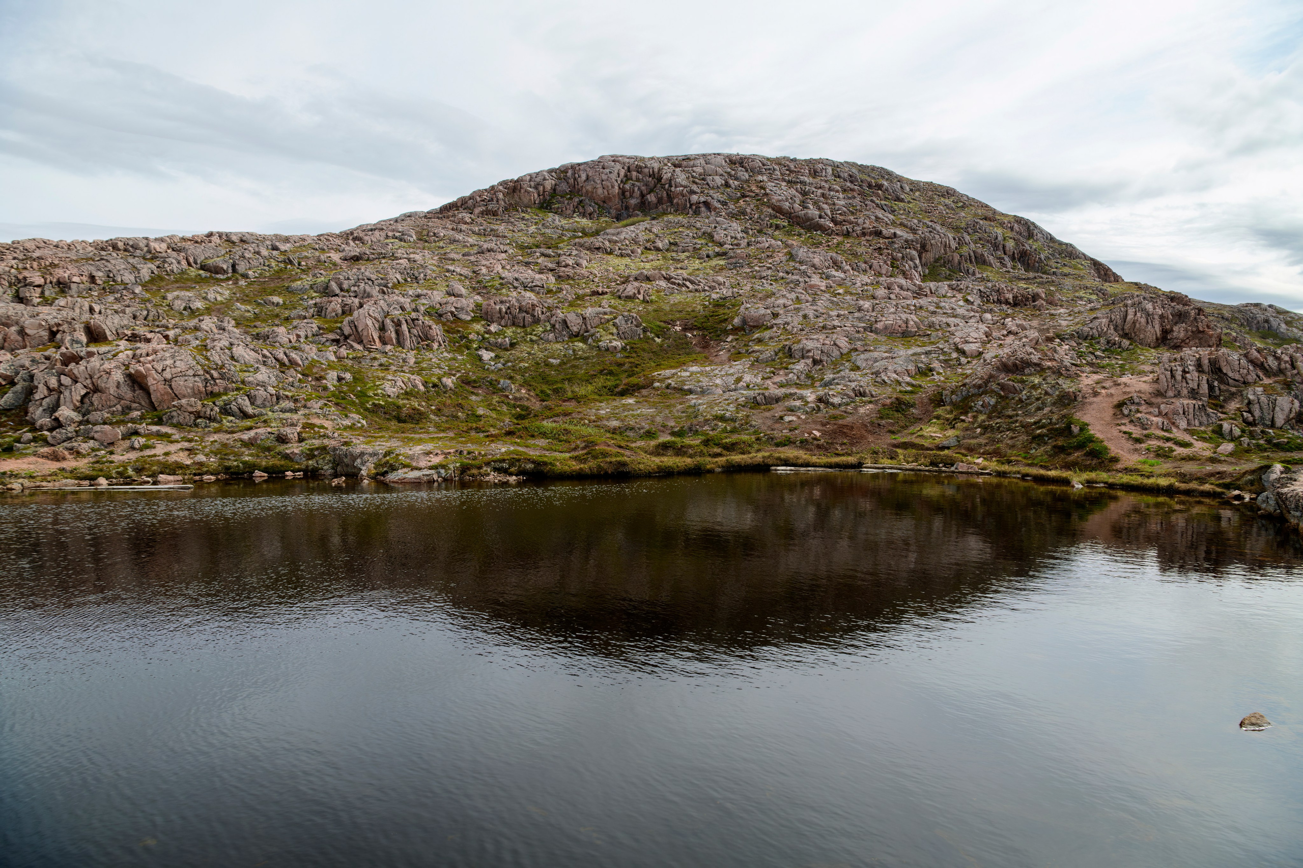 Мурманская область. Июнь 2024. Фотограф Сергей Пупонин
