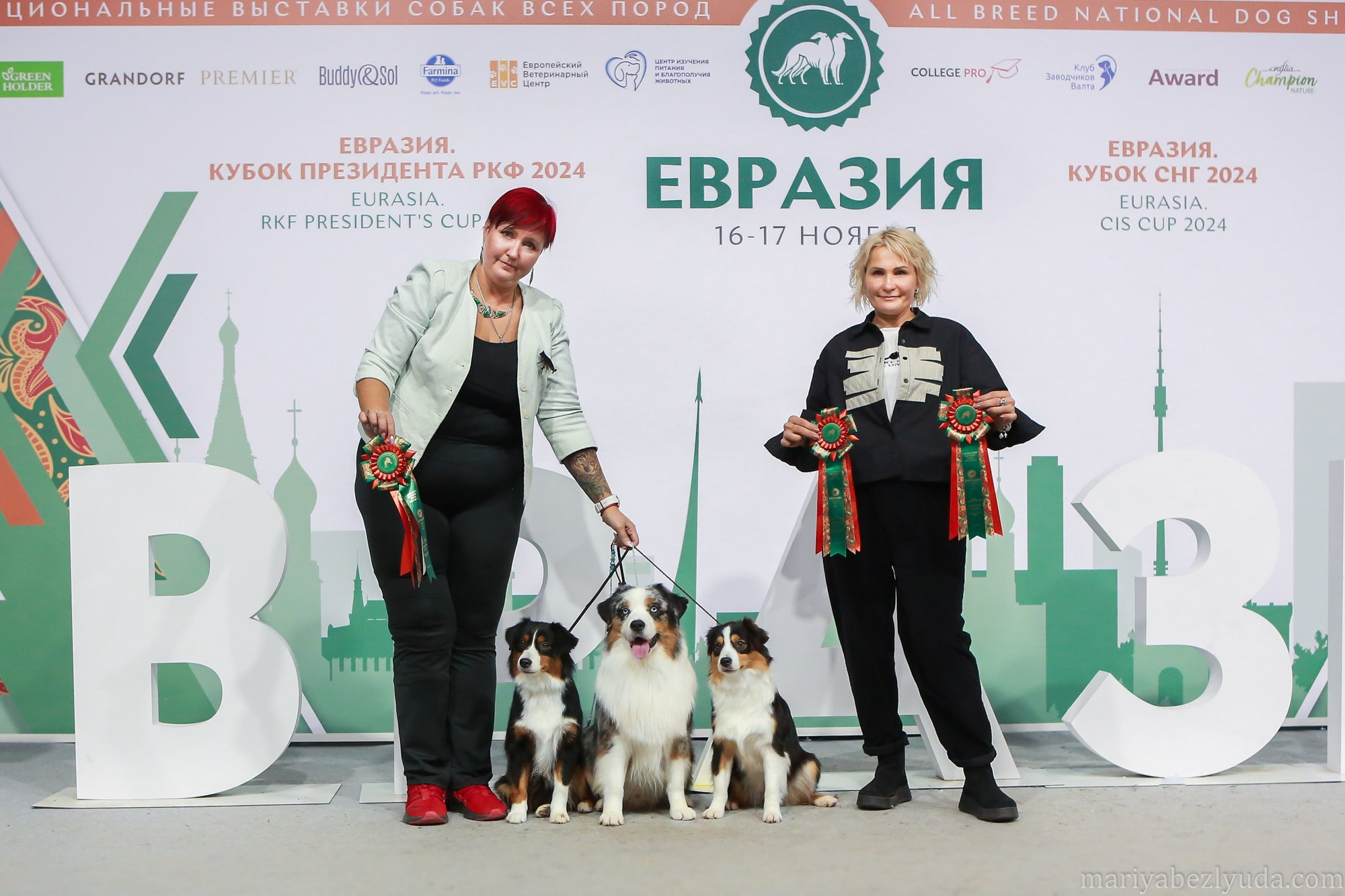 Фотосъёмка на выставках, съёмка в ринге, выставки собак. Семейный и детский фотограф в Москве Мария Быкова