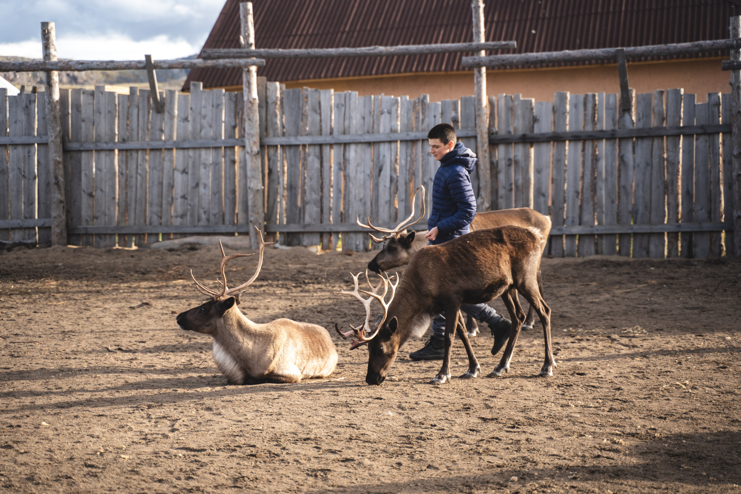 Териберка 2023. Фотограф Ольга Пучкова
