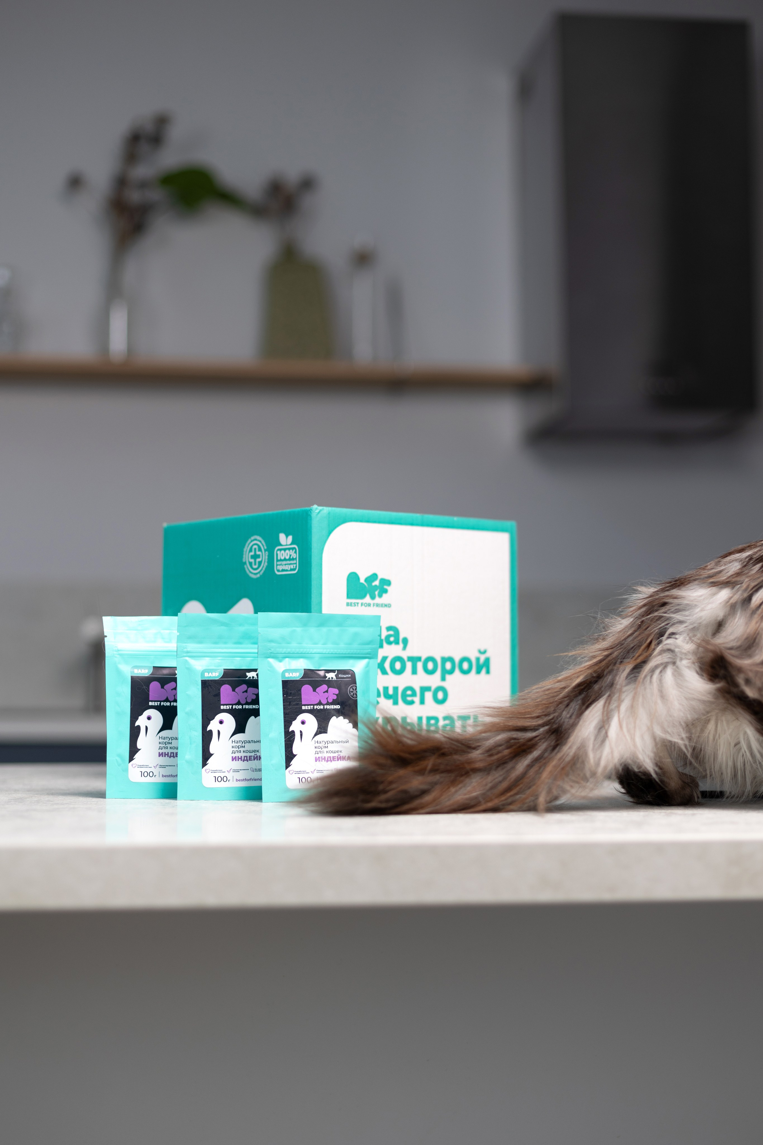 Best for friend (BFF). Фотограф анималист Кристина Карпова, Москва