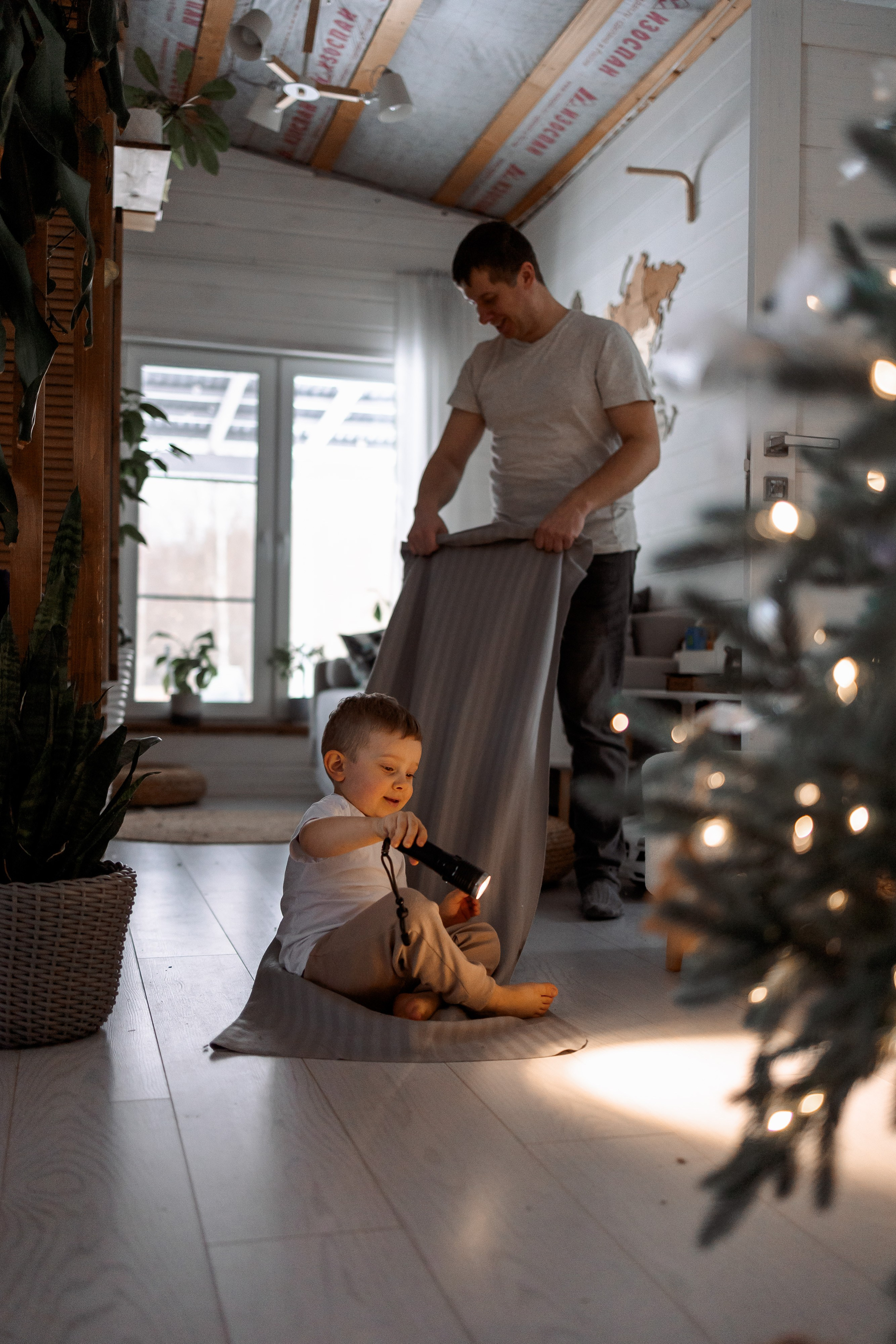 Домашняя новогодняя история