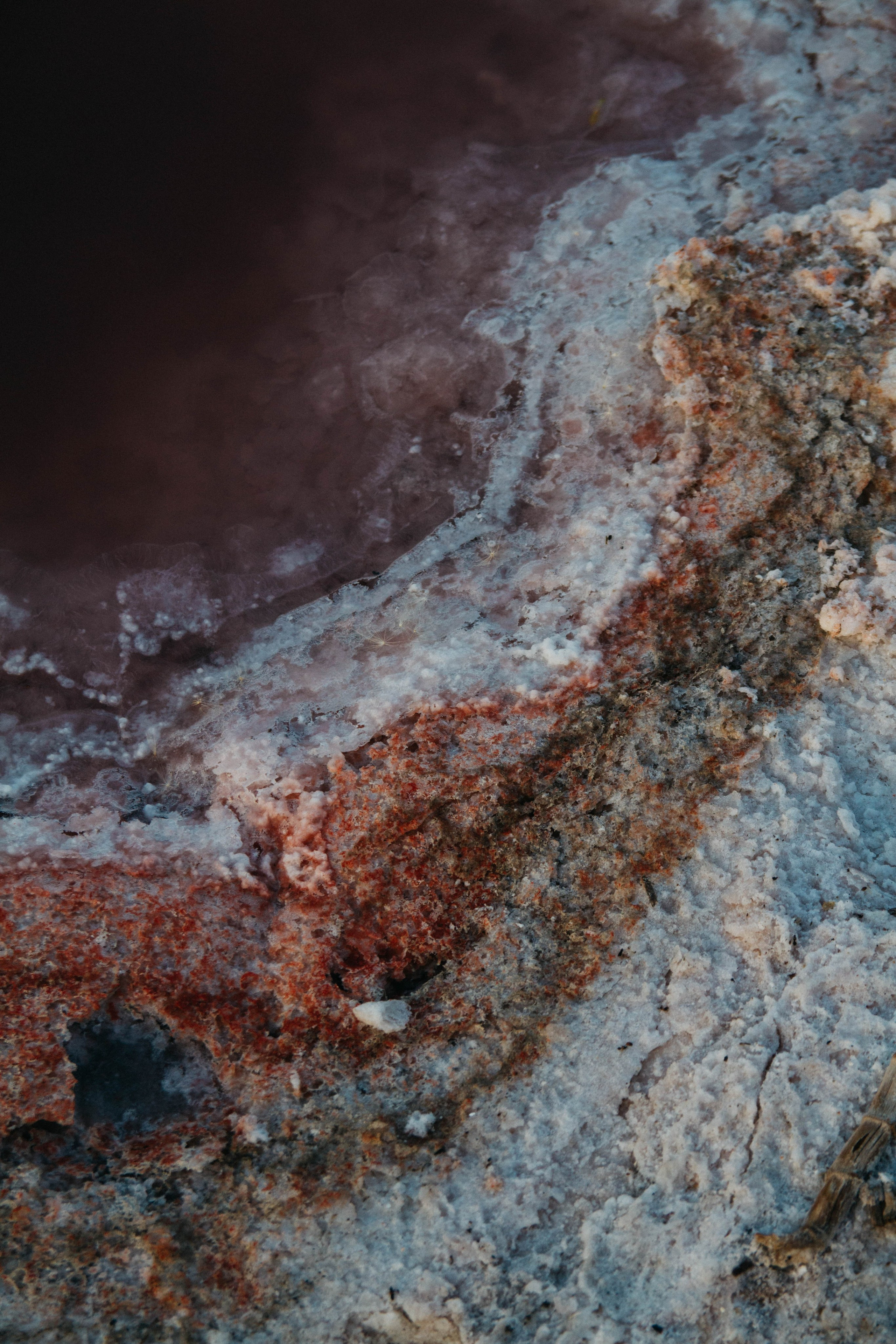 Розовый закат. Семейный и свадебный фотограф в Краснодаре