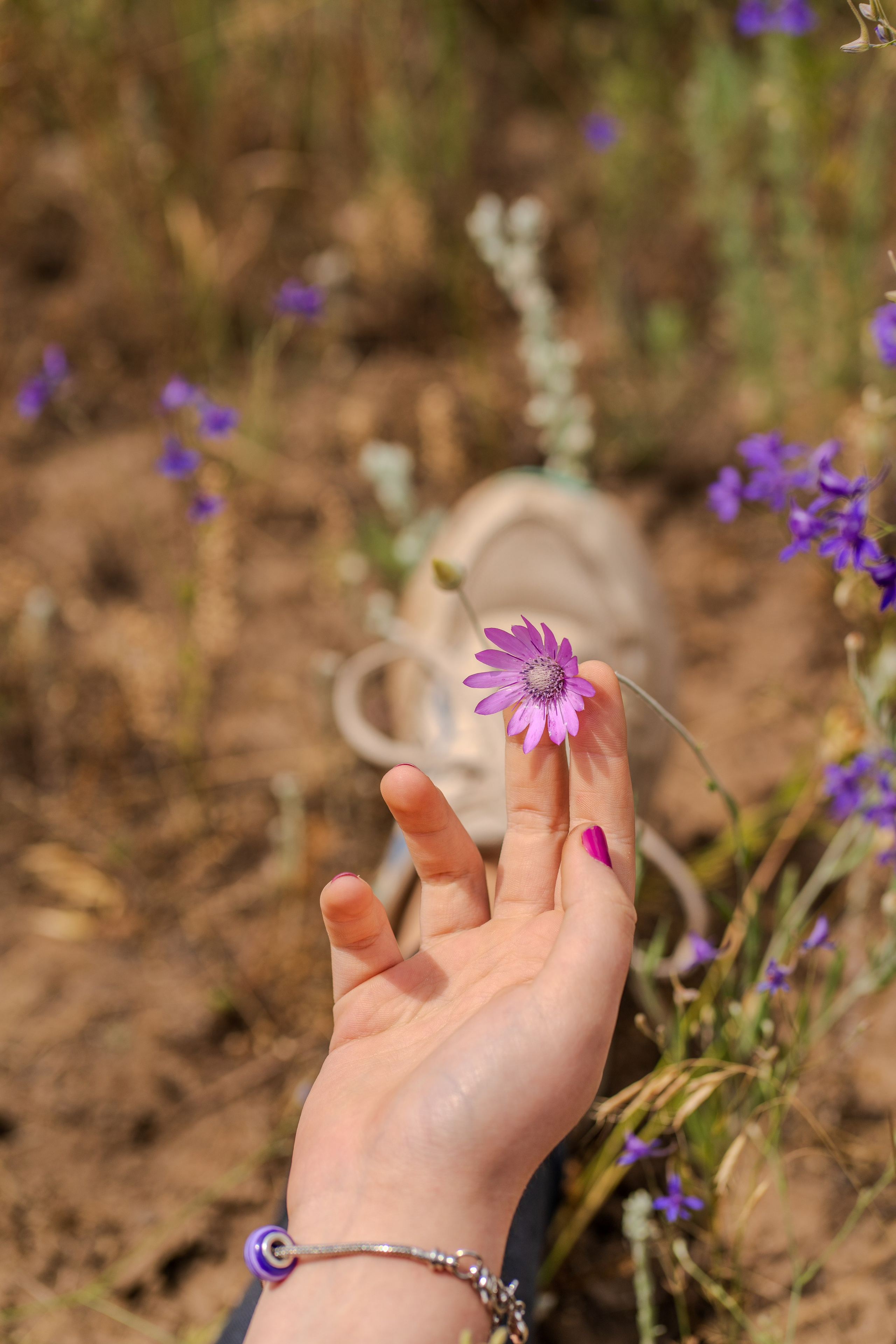 Фиолетовая прогулка. Фотограф в РФ и ЛНР Юлия Федосеева