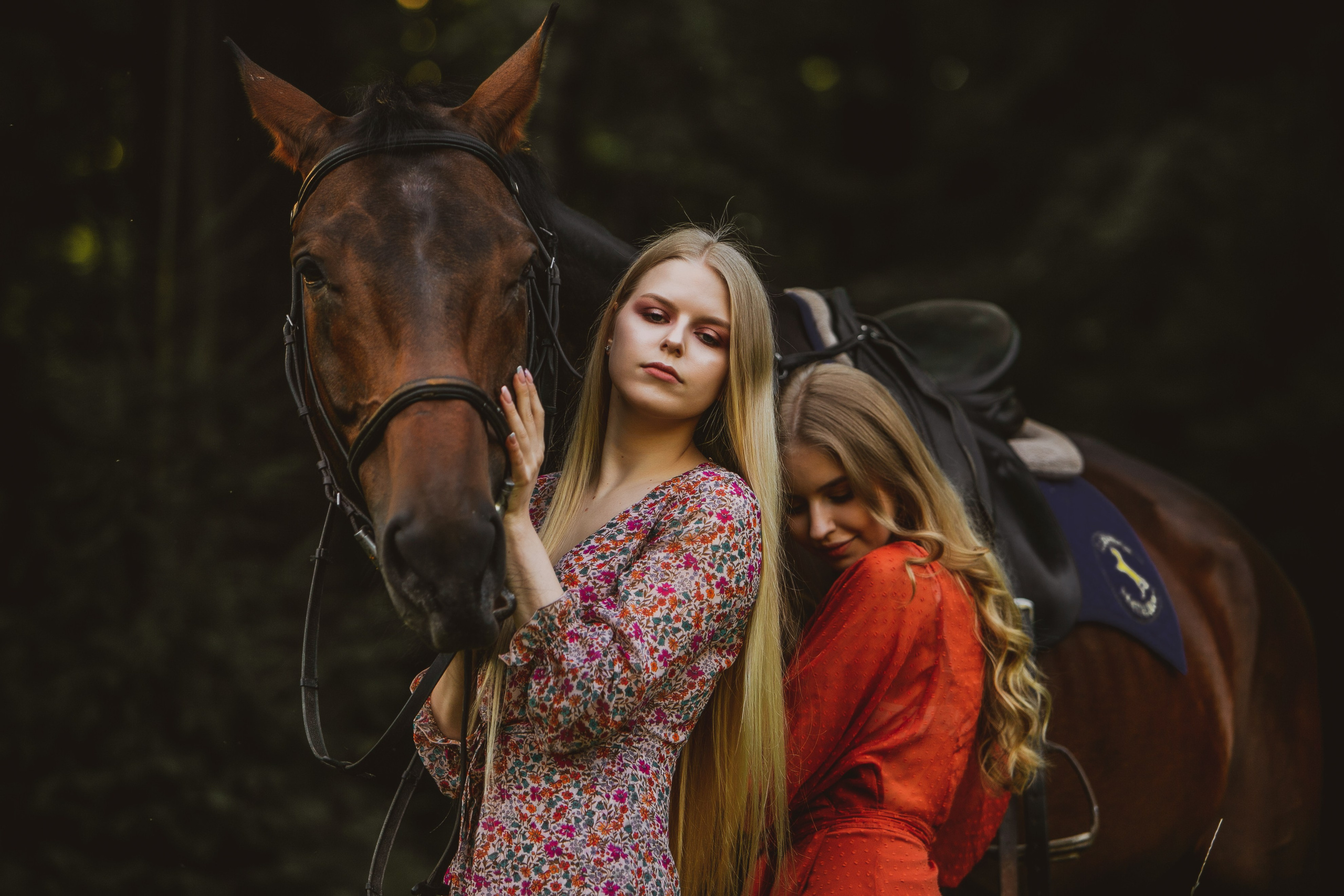 Фото с лошадьми. Фотограф Елена Лагода