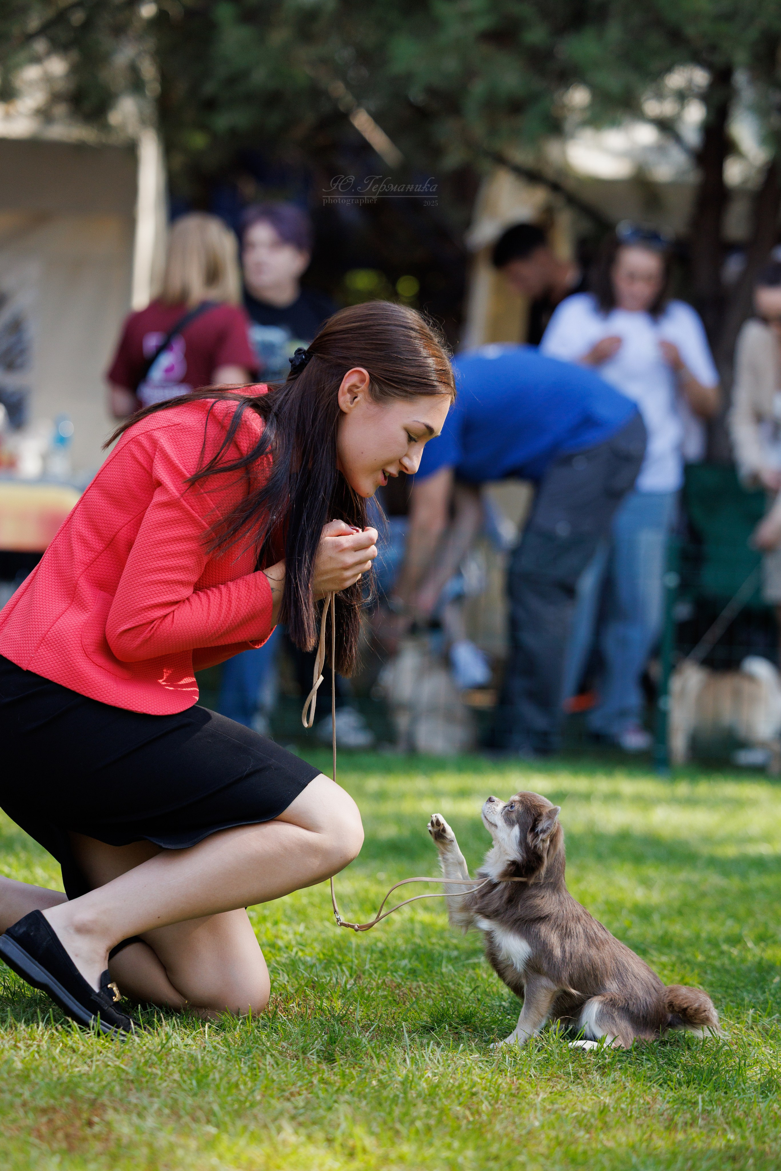 Бишкек 3х CACIB 26-28.09.2025. Фотограф-анималист Юлия Германика