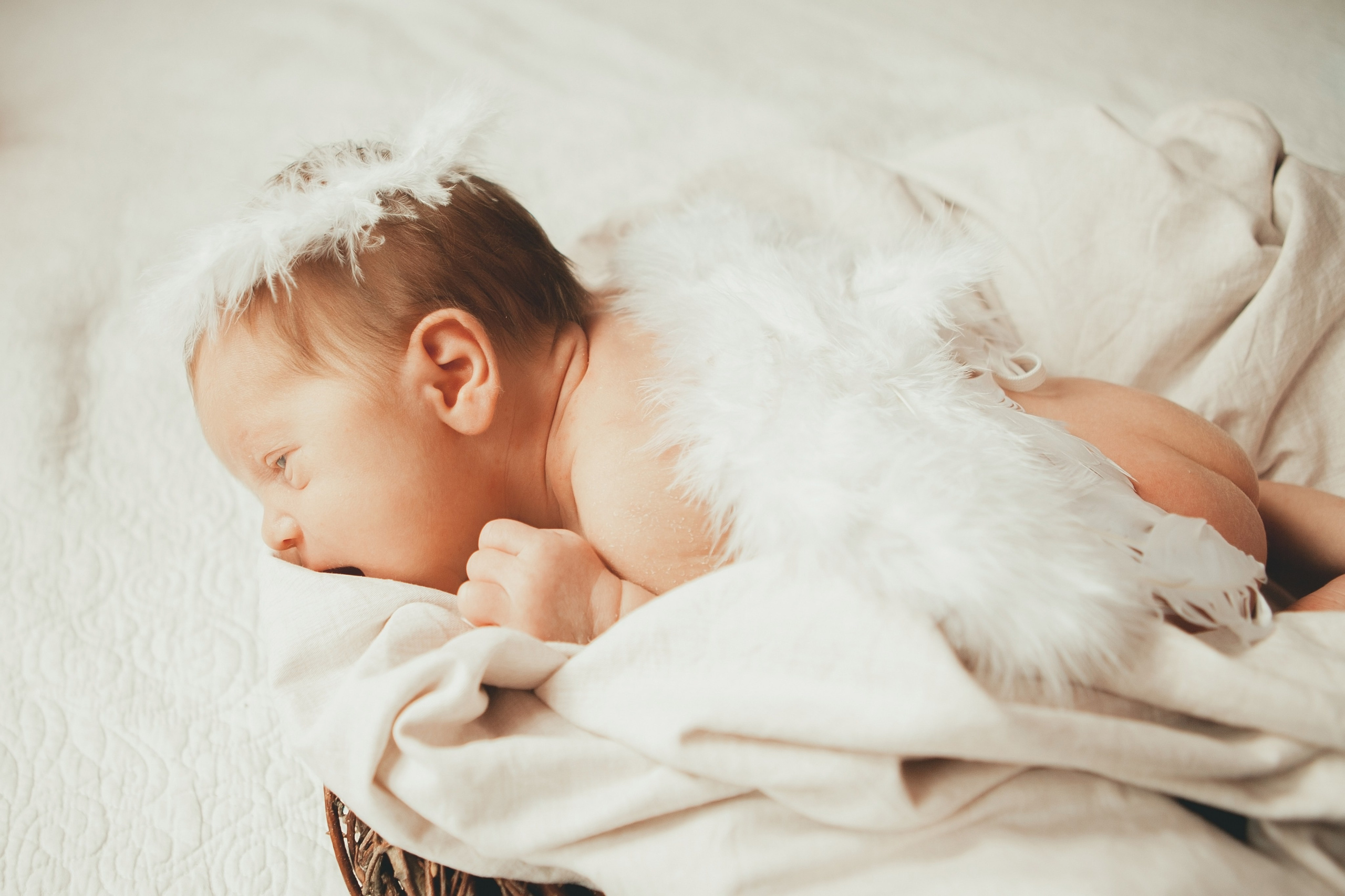 Гордей. Фотограф Ольга Ефремова