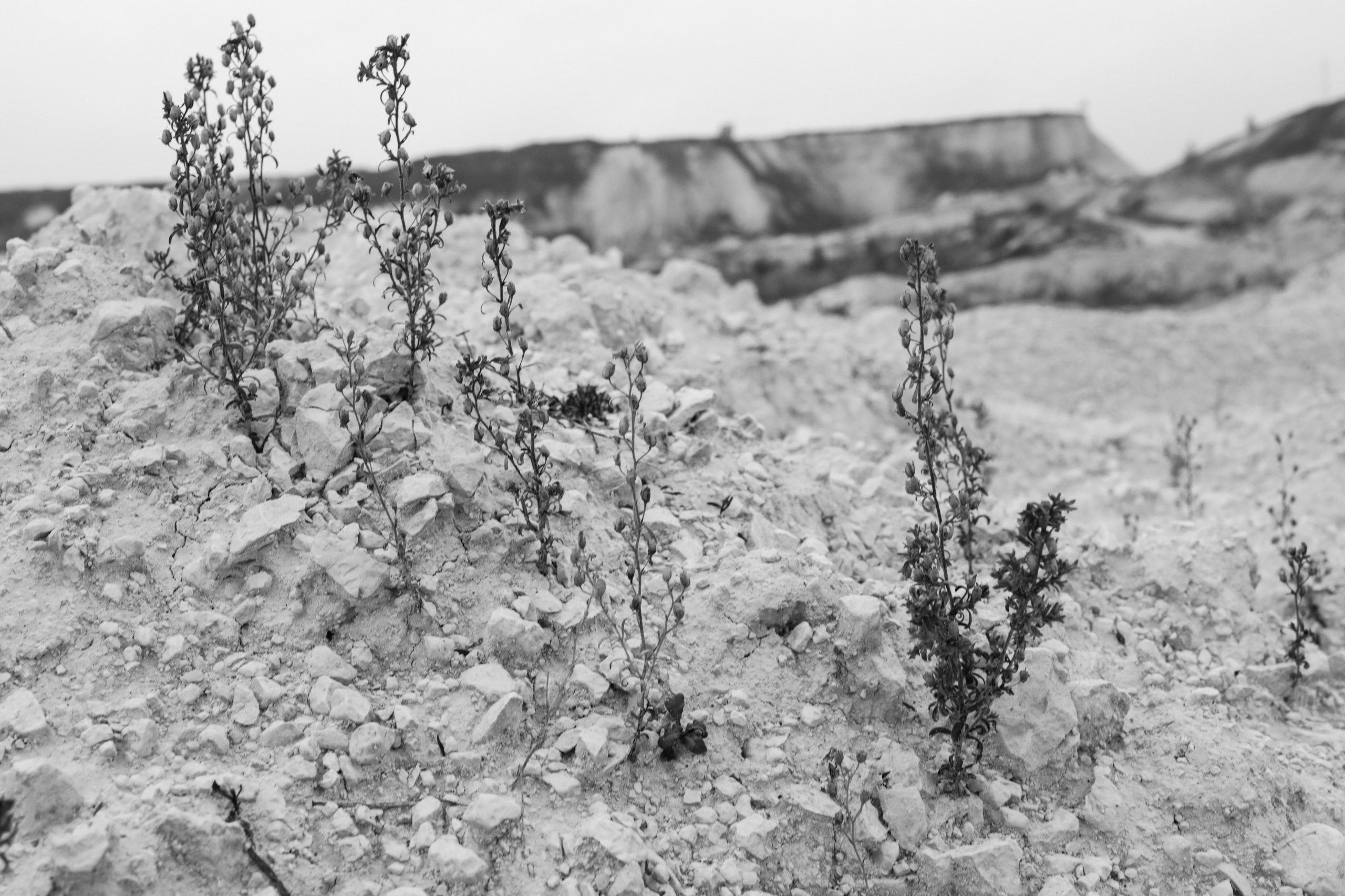 СКВОЗЬ ВРЕМЯ. Ekaterina Ageeva