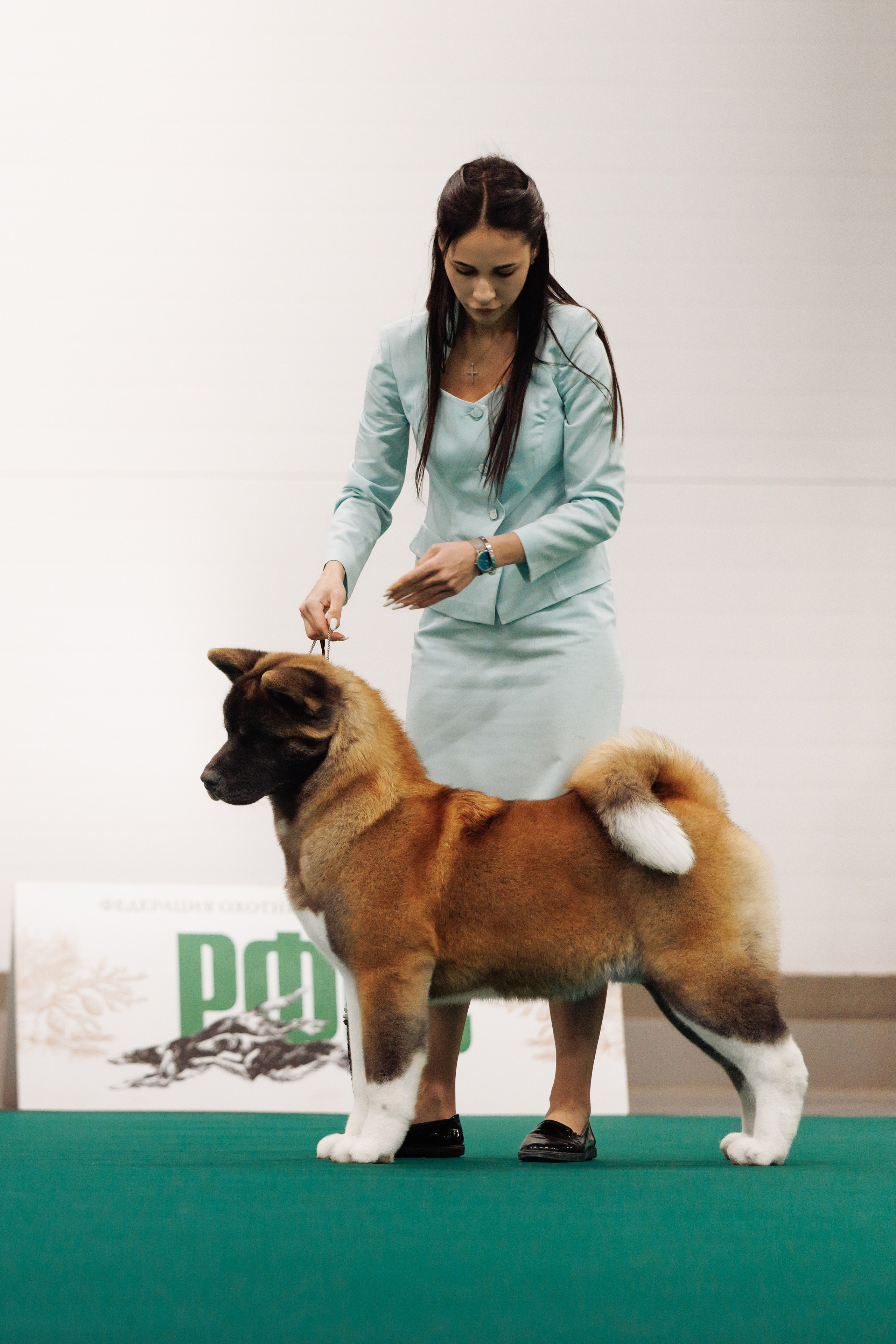 29-30.11.2025 — Казань «Зилант». Фотограф-анималист Саша Вязьмина