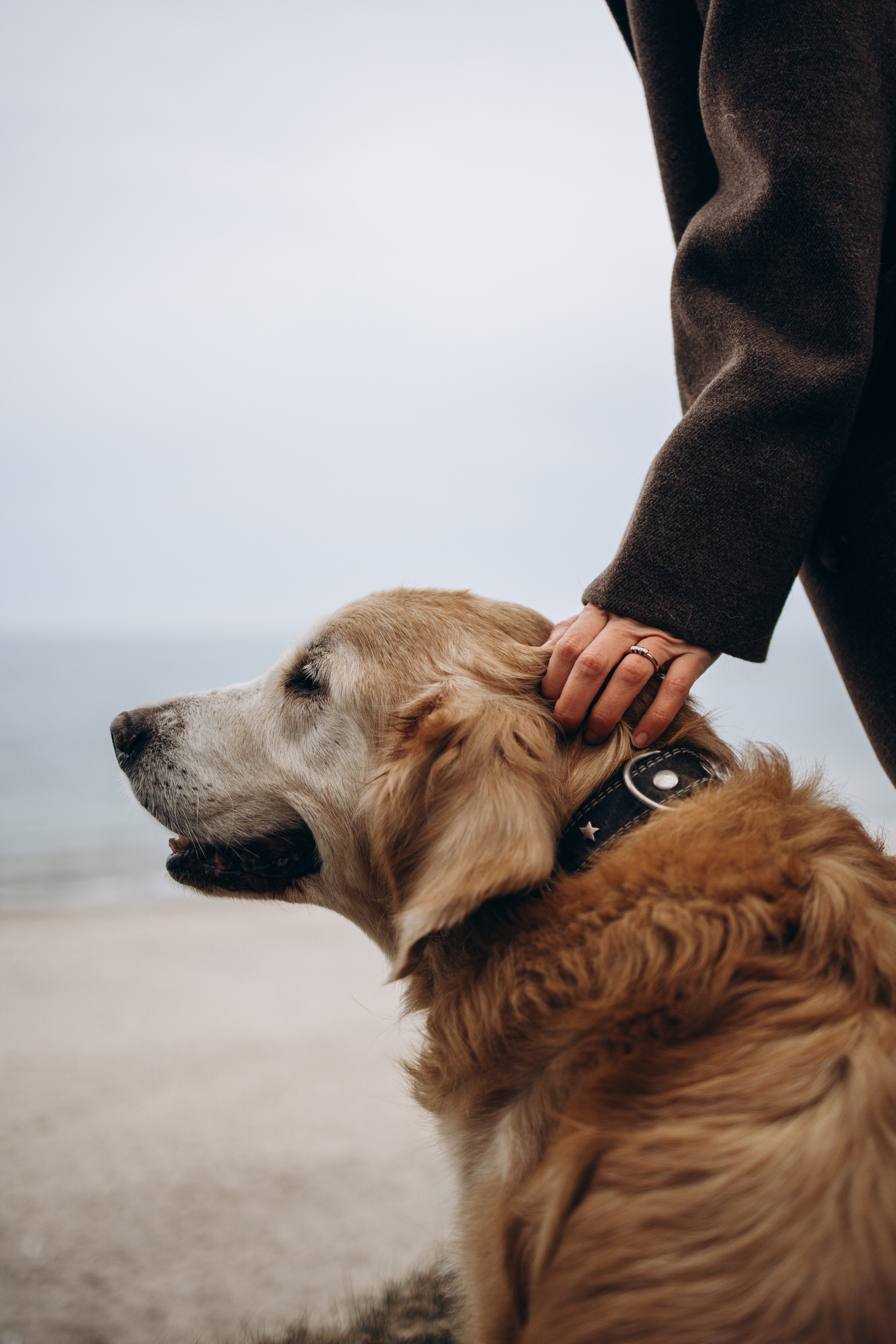 Юля и Максик. Фотограф — Анималист | Санкт-Петербург