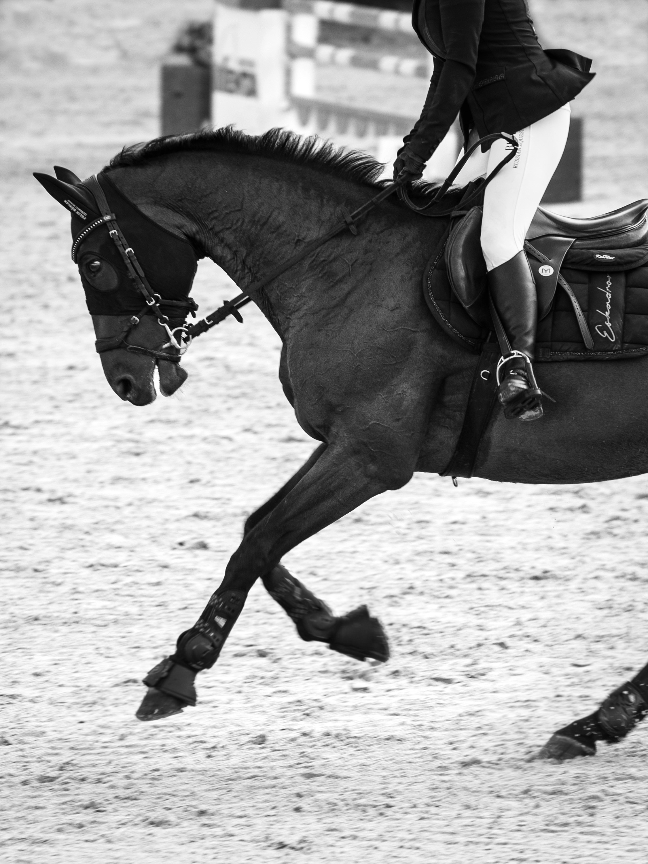 Конный спорт. Alexandrovna photography