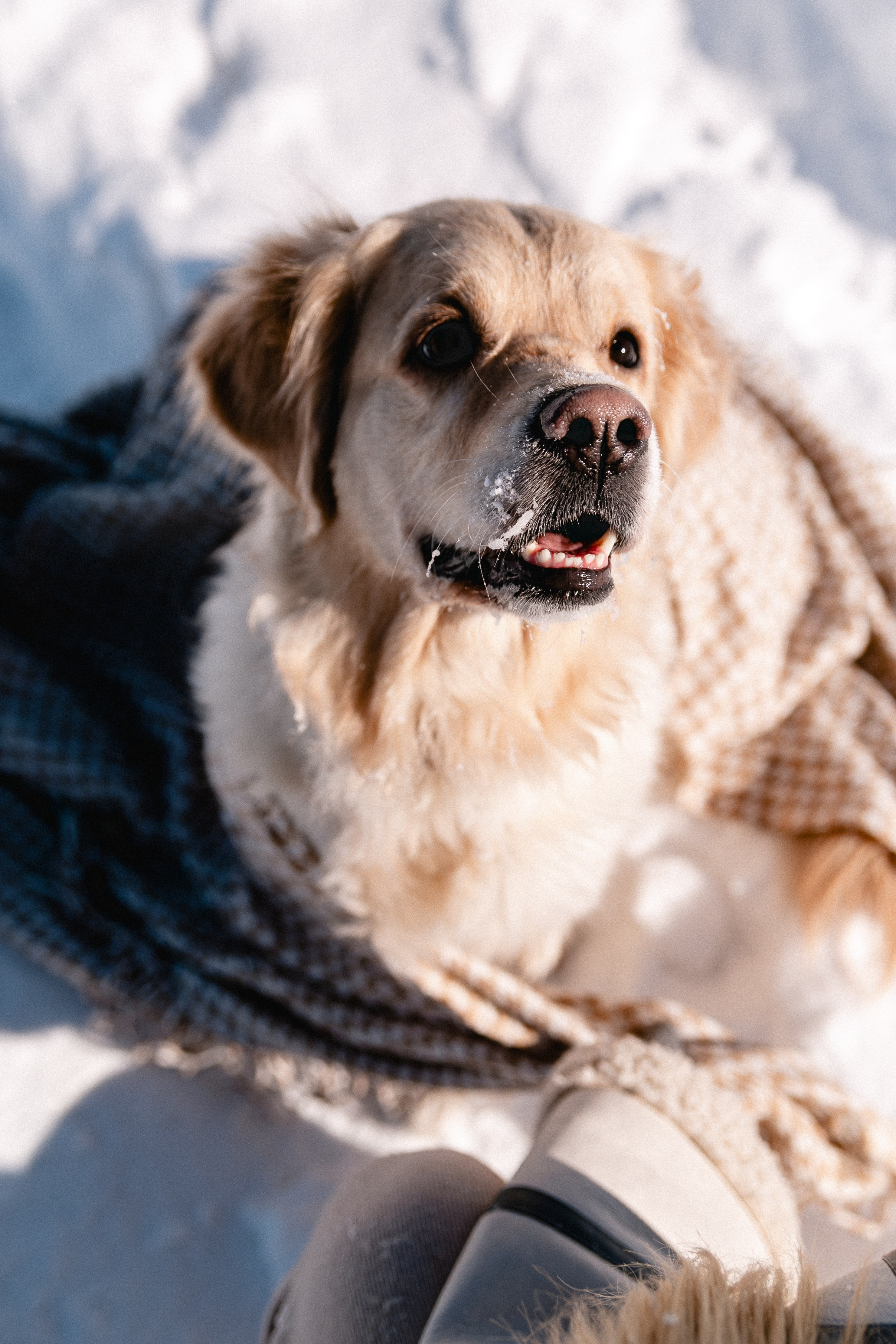 Настя и Лёша. Крылова Светлана Фотограф Челябинск