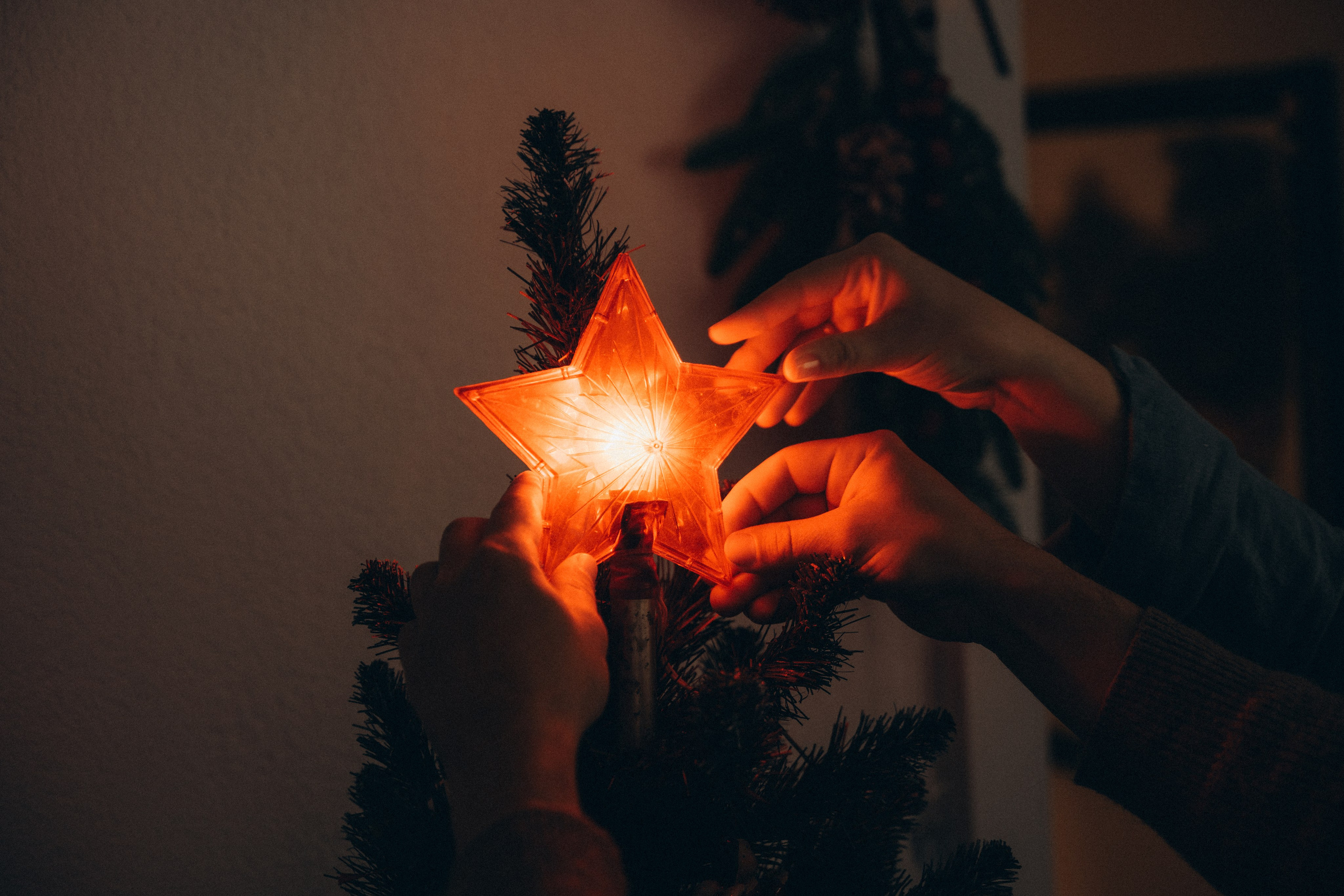 Анастасия и Антон. Новогодняя сказка. Мария Кобзева, фотограф в Ялте, Крым
