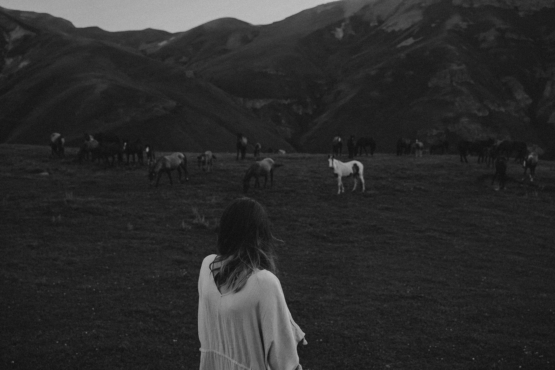 Зелёный дом. Алиса Аницкая