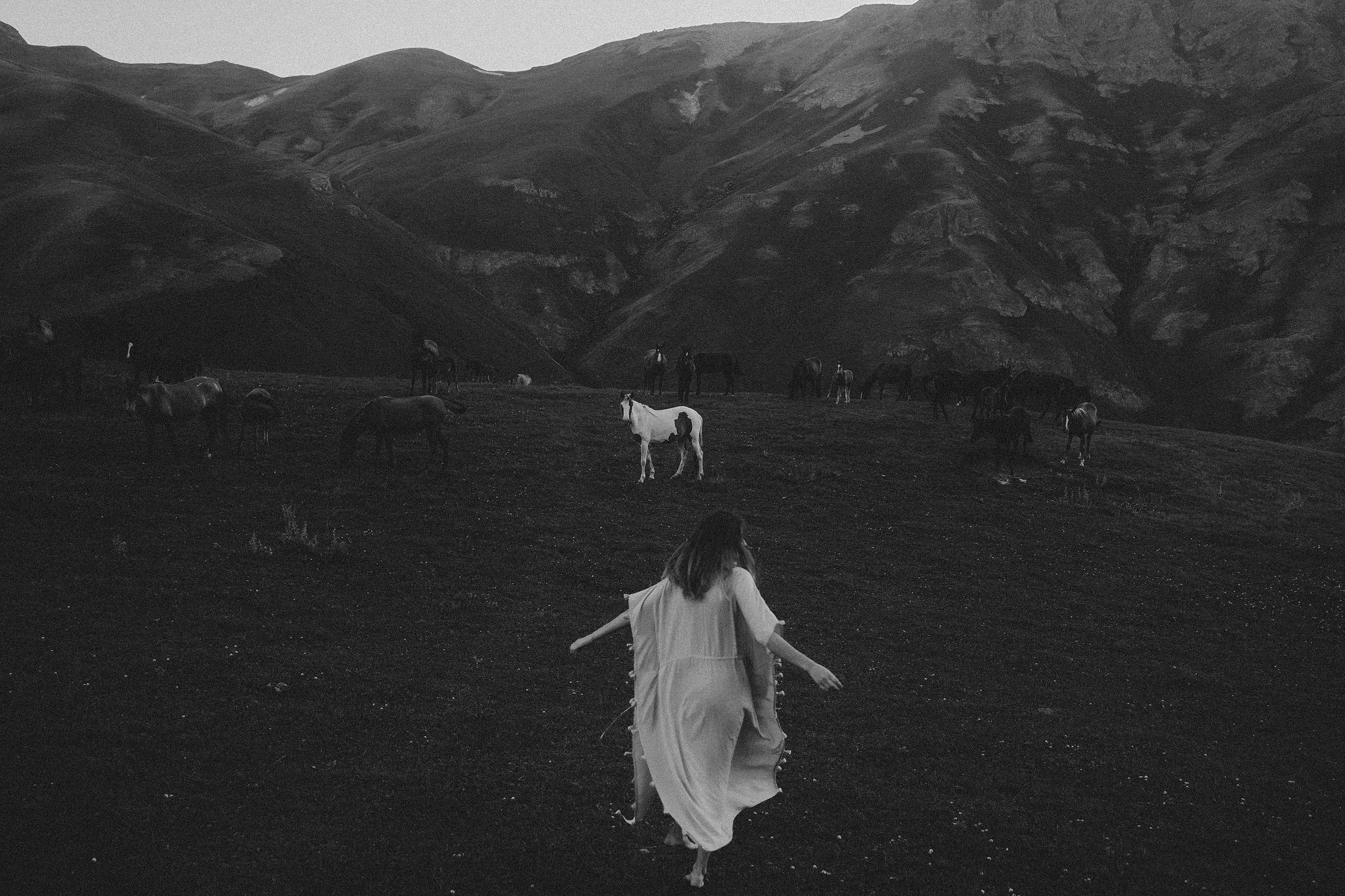 Зелёный дом. Алиса Аницкая