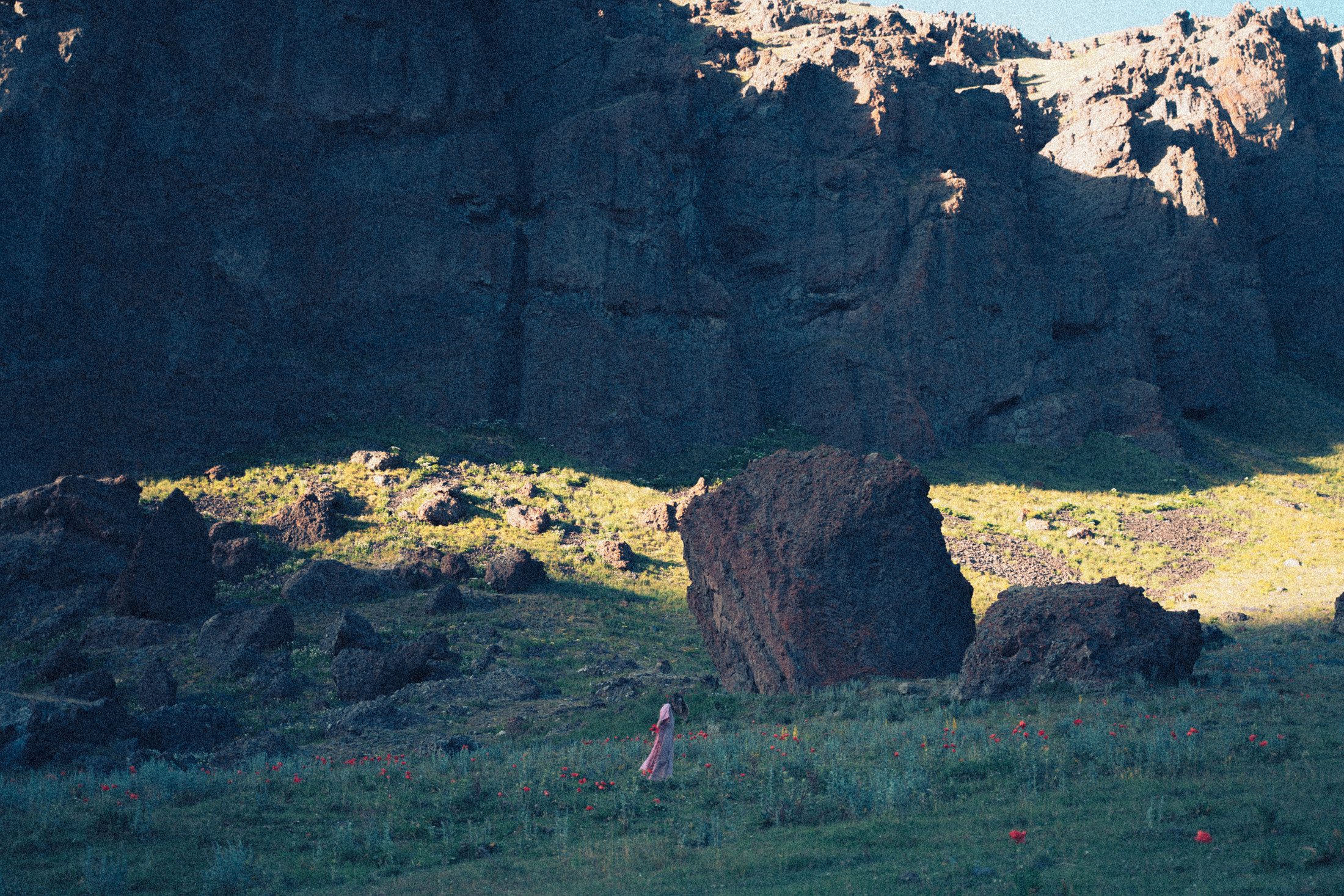 Зелёный дом. Алиса Аницкая