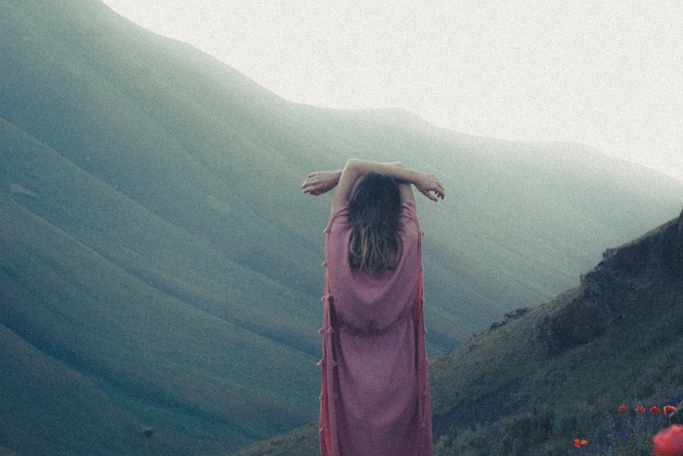 Зелёный дом. Алиса Аницкая