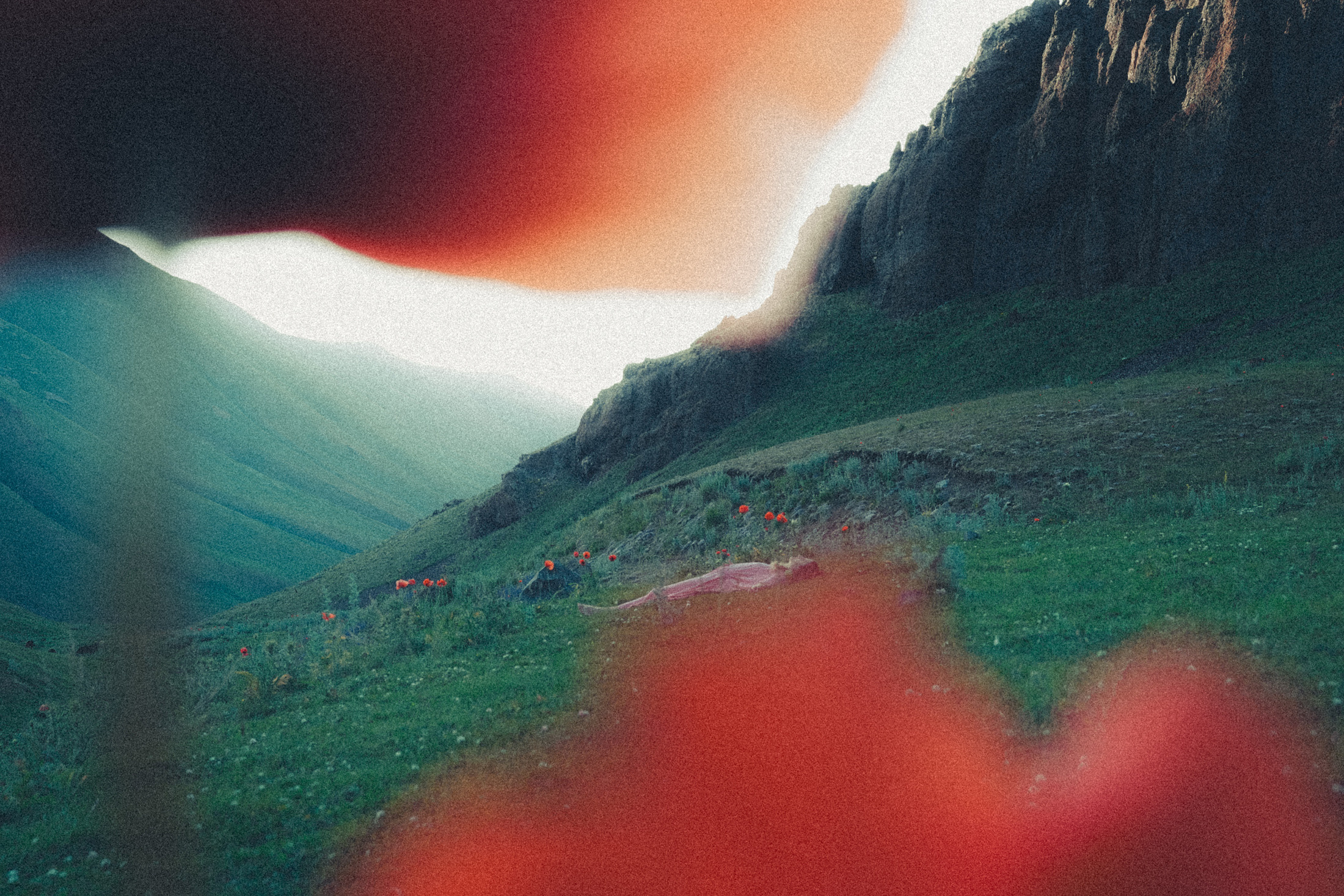 Зелёный дом. Алиса Аницкая