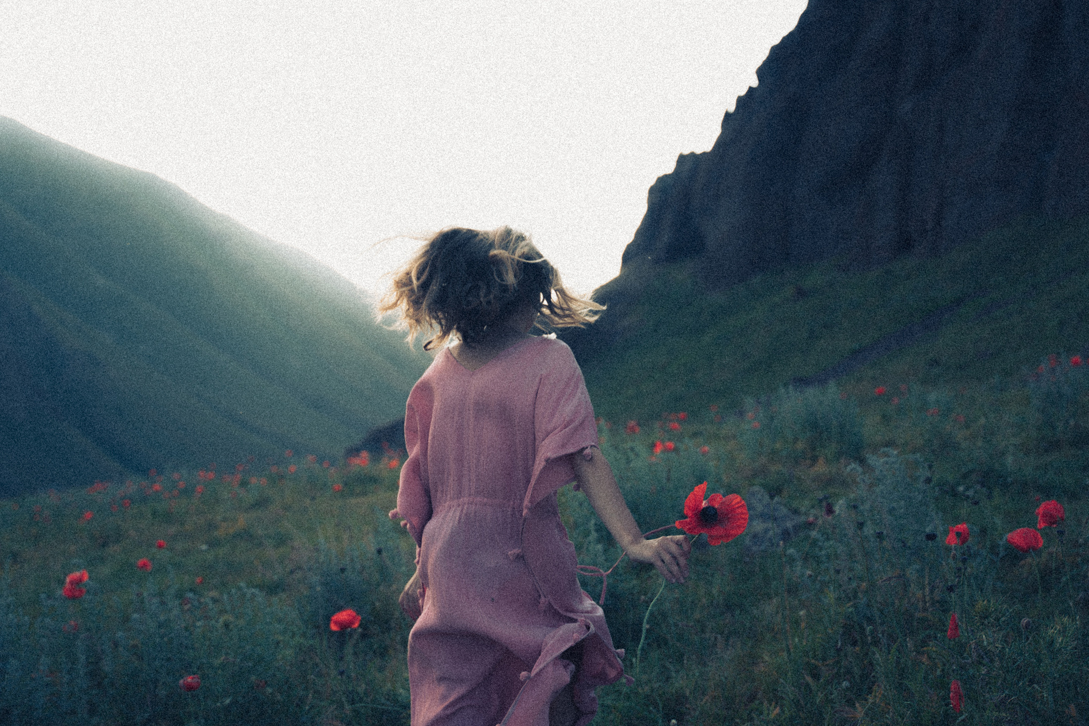 Зелёный дом. Алиса Аницкая