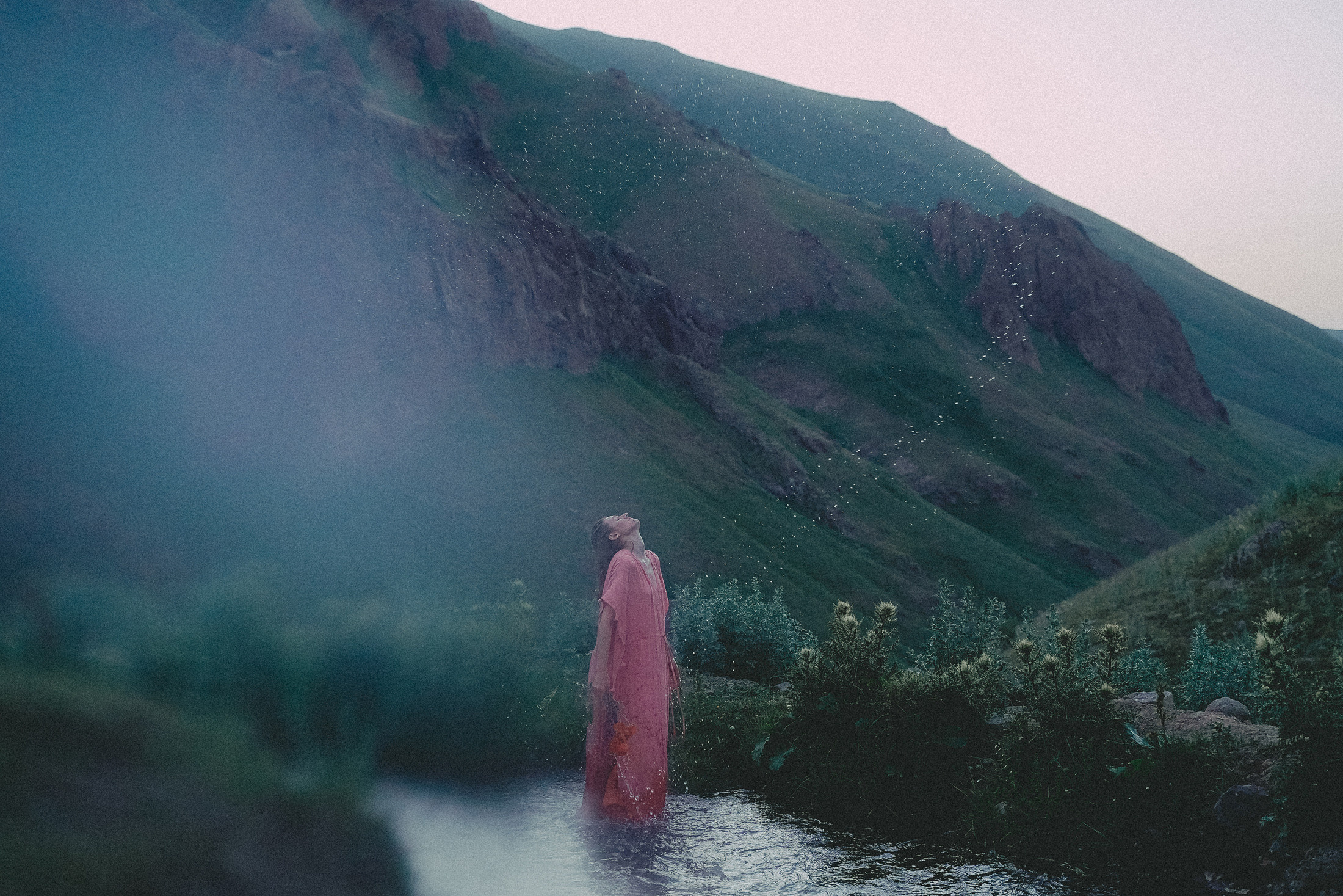 Зелёный дом. Алиса Аницкая