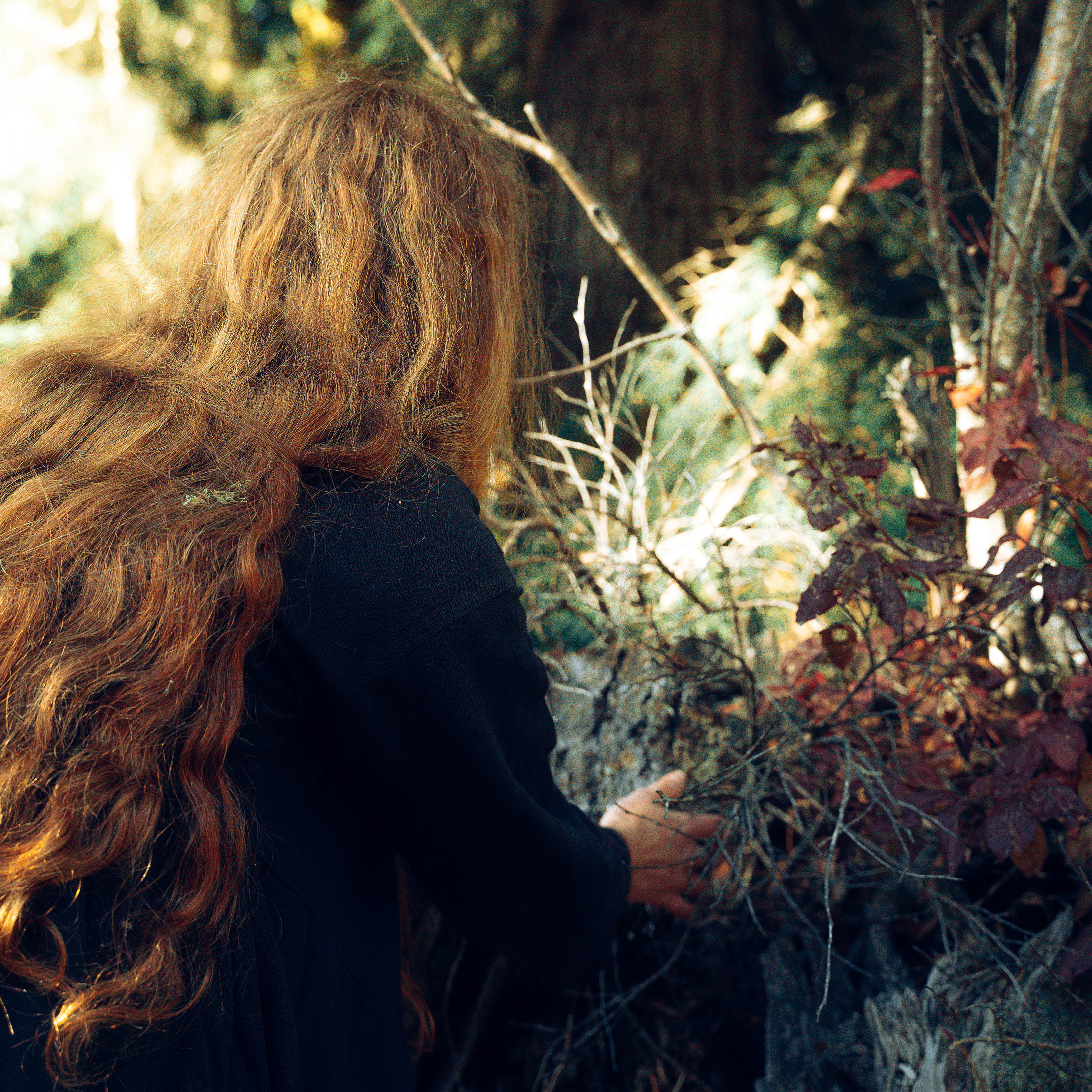 Бег. Алиса Аницкая