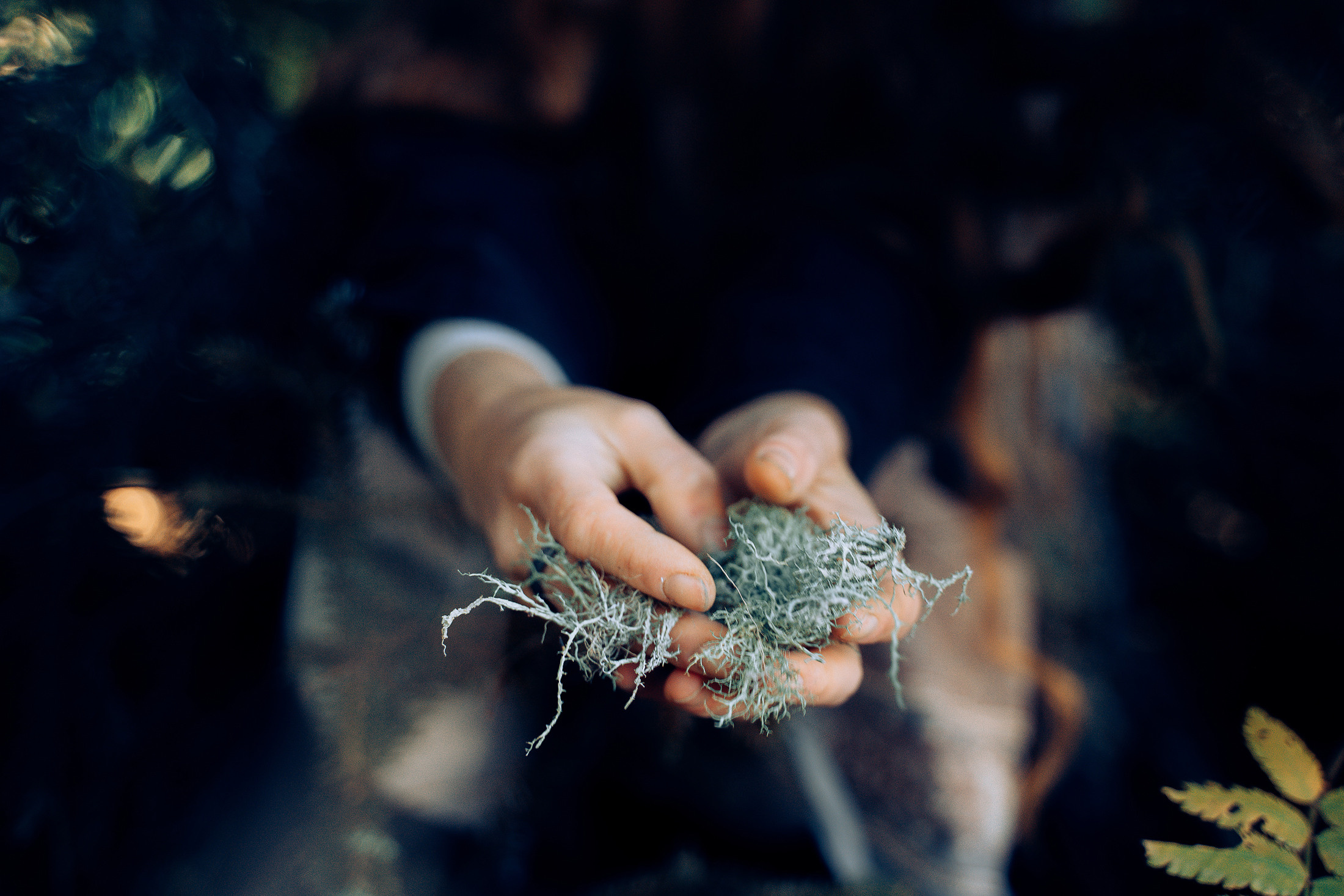 Бег. Алиса Аницкая