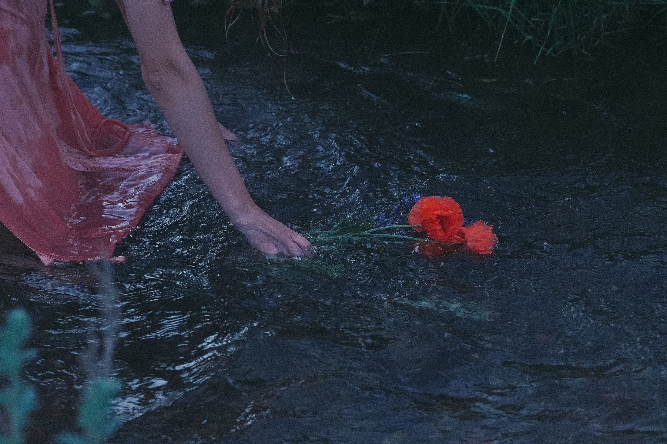 Зелёный дом. Алиса Аницкая