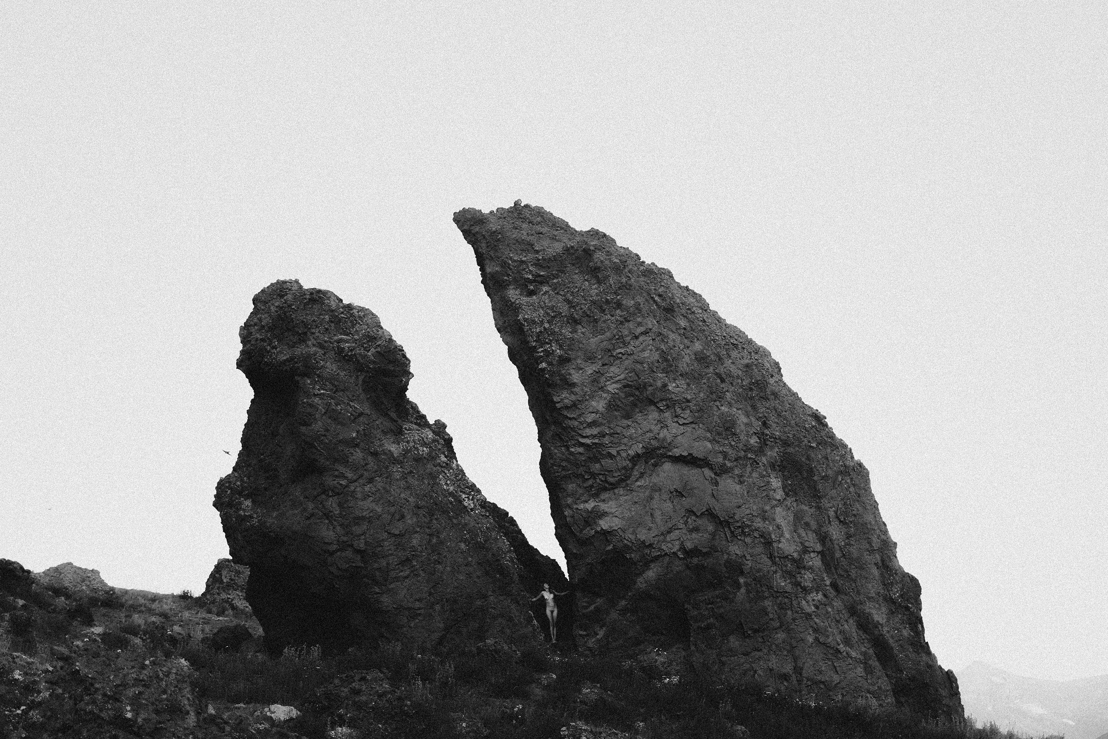 Зелёный дом. Алиса Аницкая